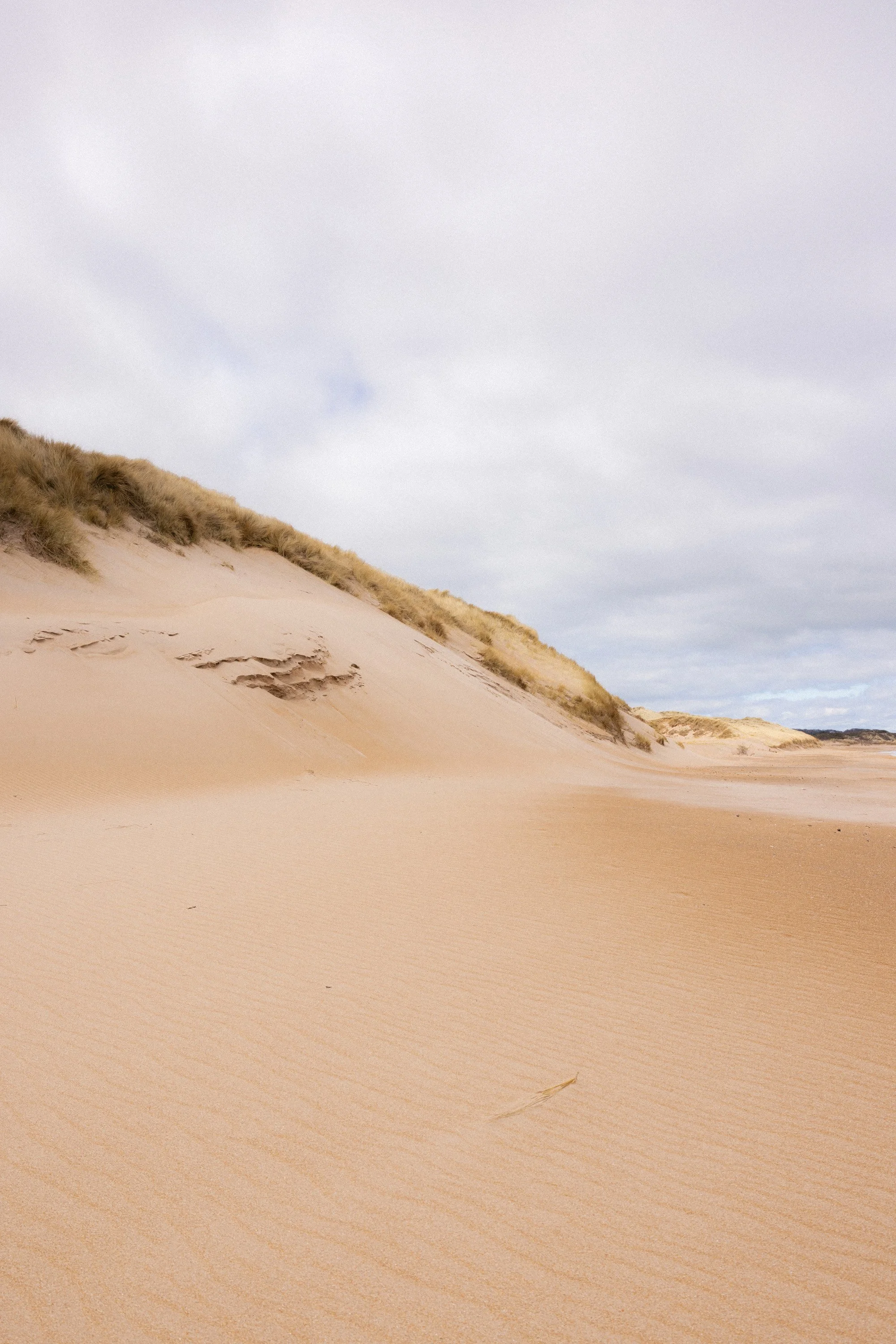 Tyninghame_EDIT2-50.jpg