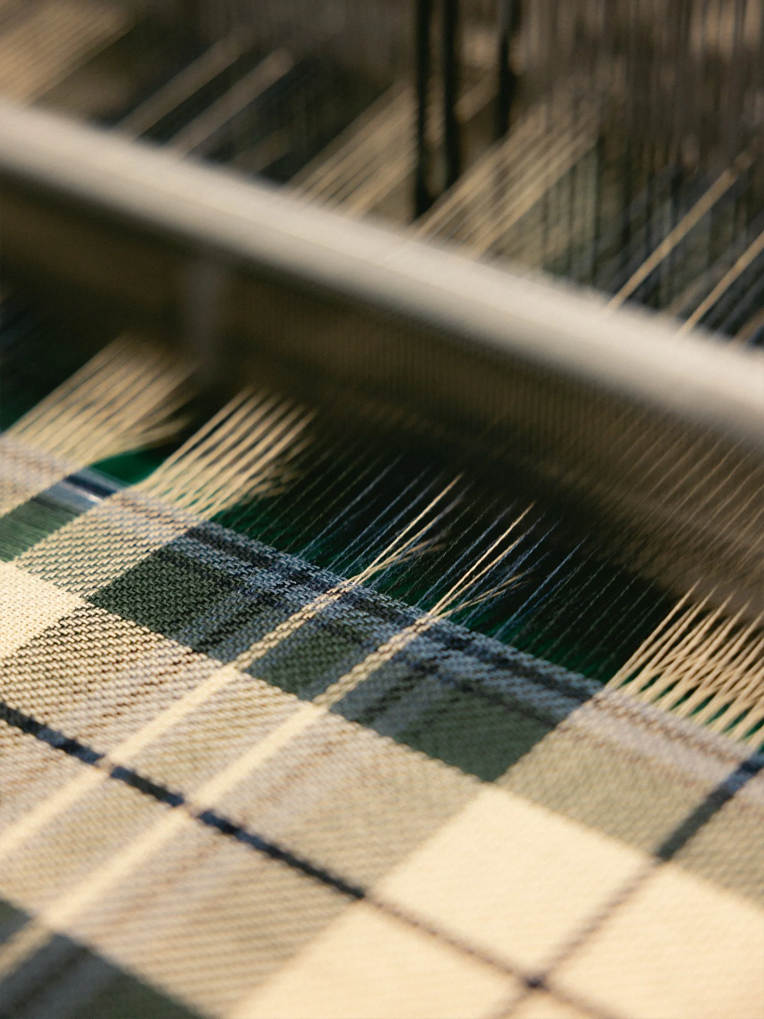 tartan.jpg