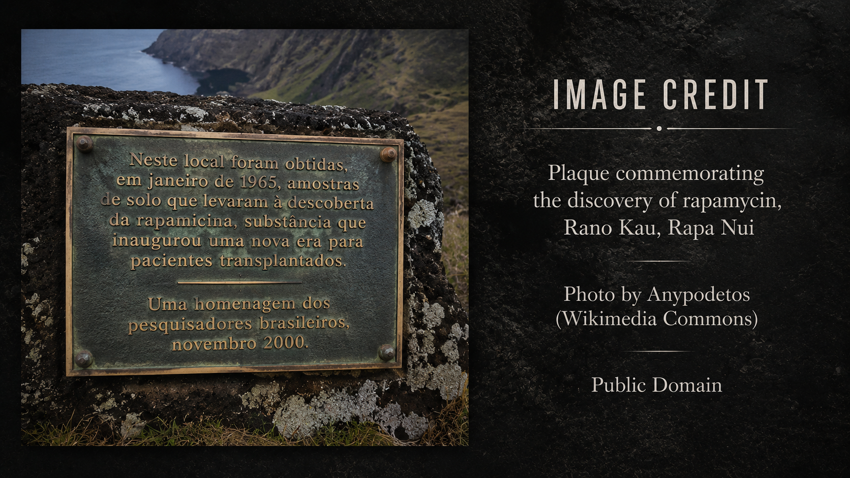 Rapa Nui Rapamycin GregCDansereau