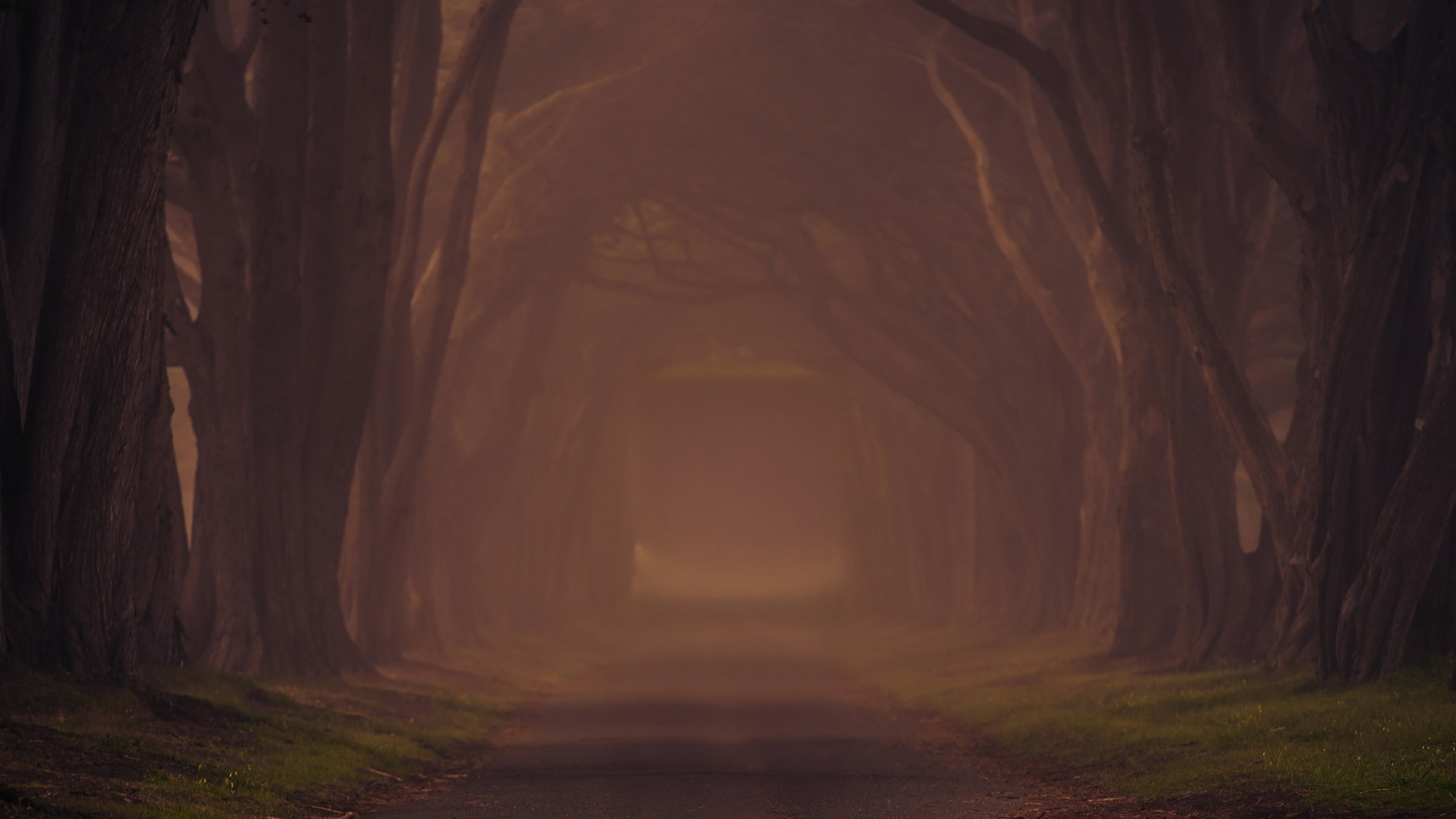 Myth &amp; Symbol Journal