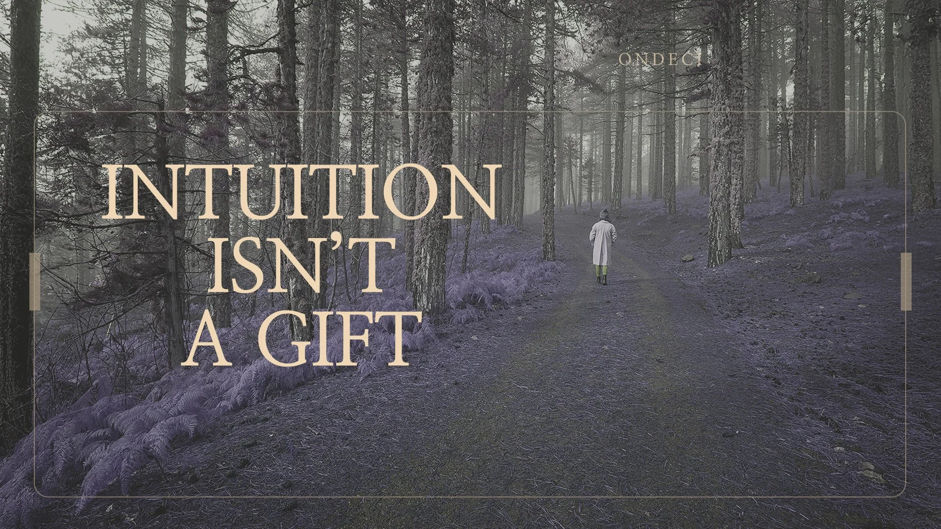 Intuition Is Not a Gift. It Is a Form of Perception.