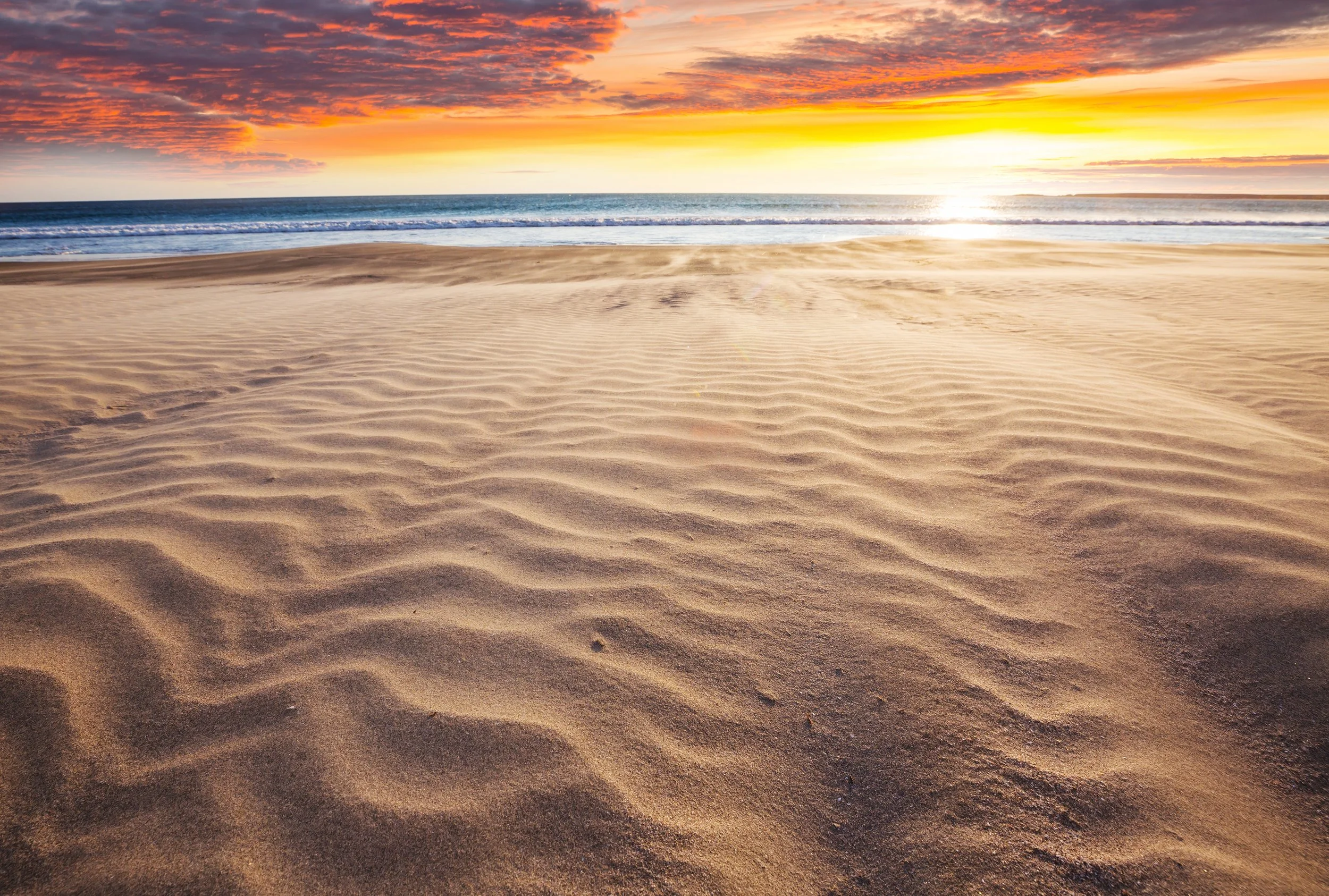 Organized Progression GregCDansereau