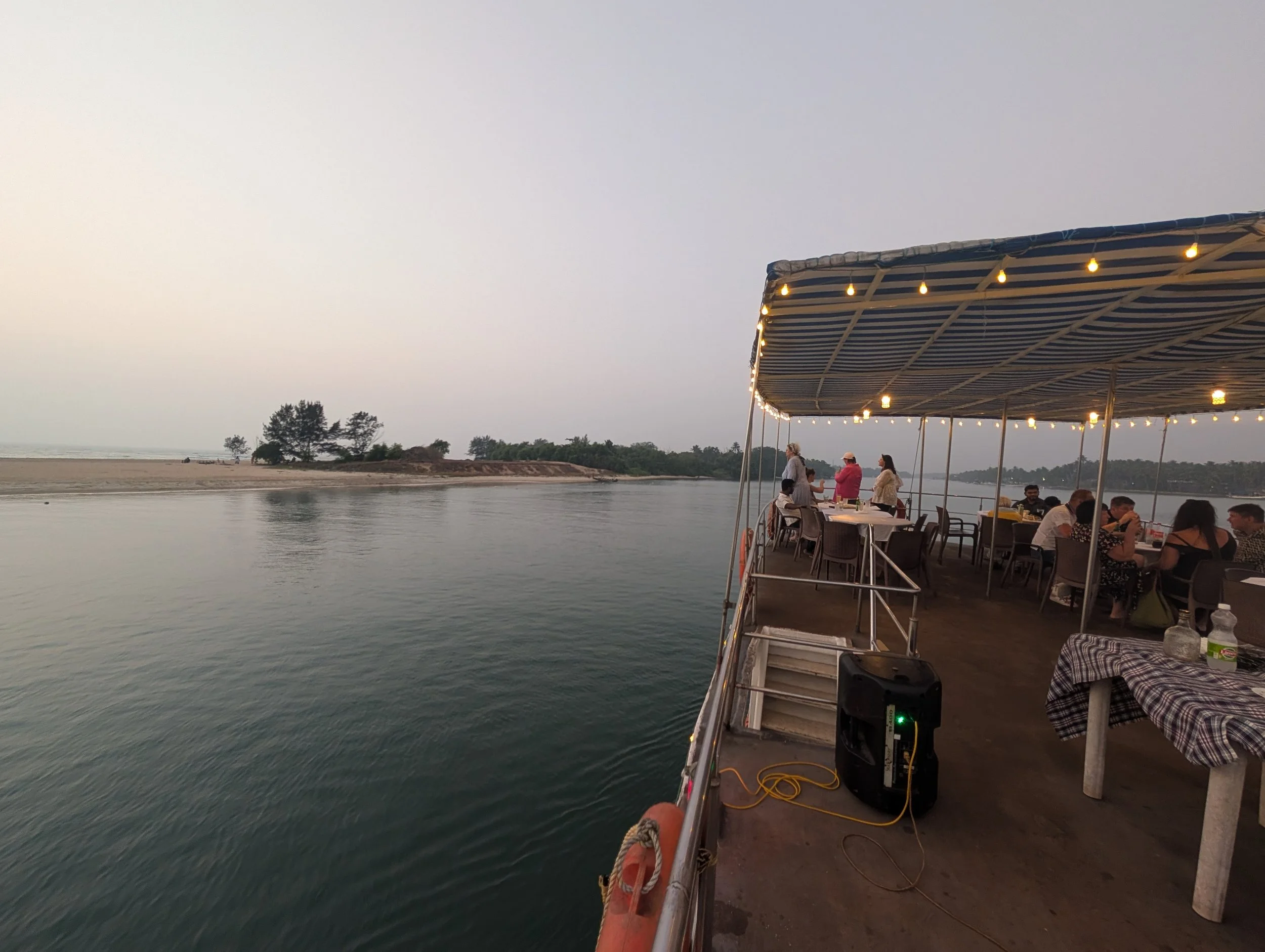 Indo-German Homeopathic Project- Reisefortbildung