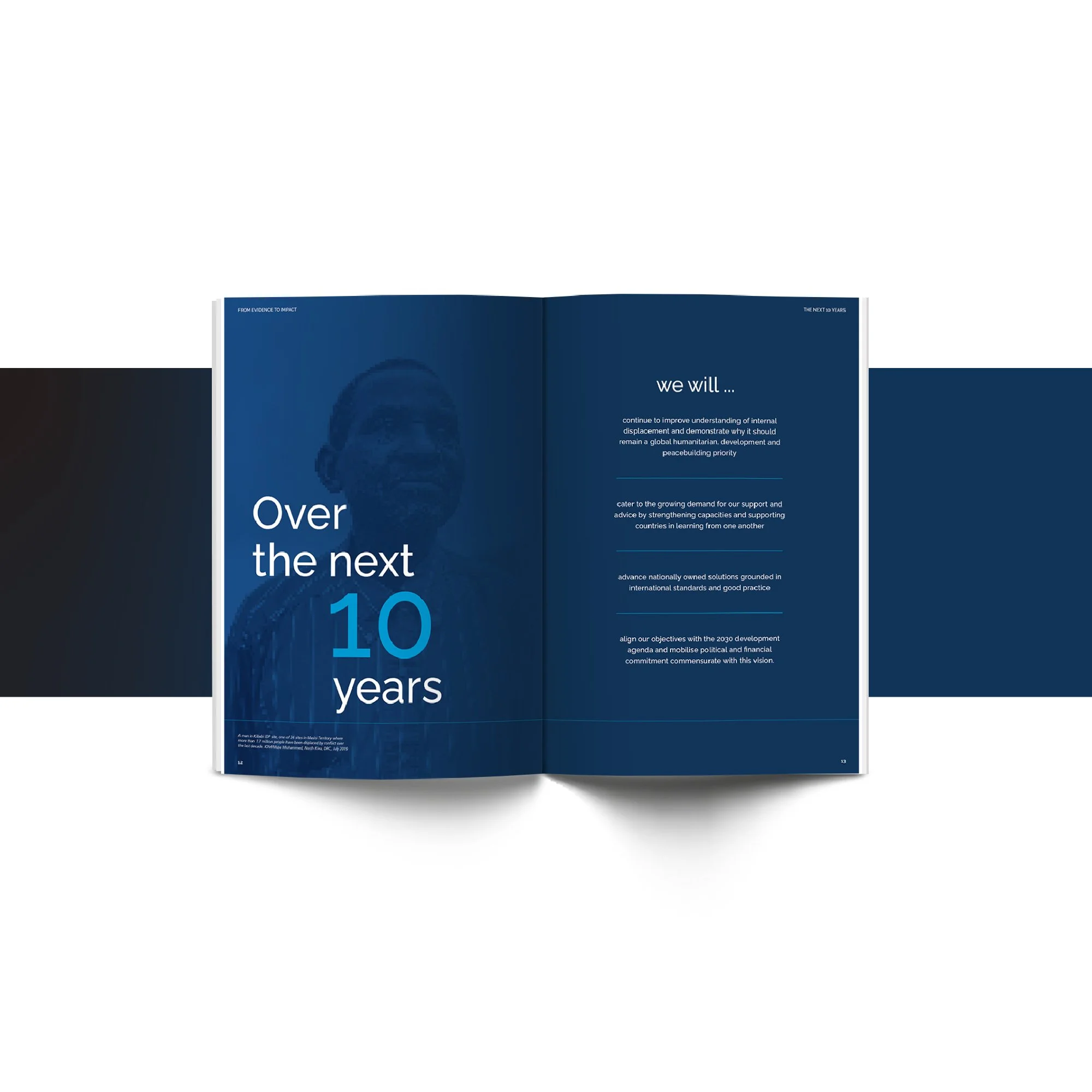 IDMC_30y plan 1 .jpg
