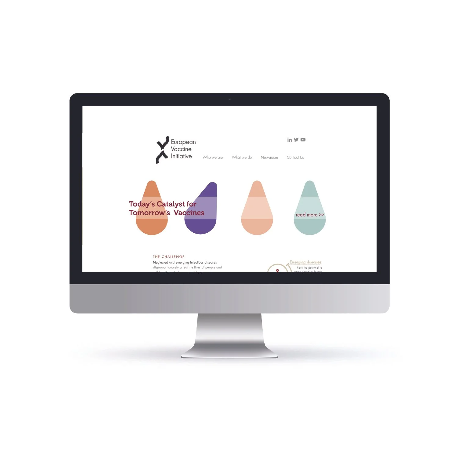 EVI_Project 3-100.jpg