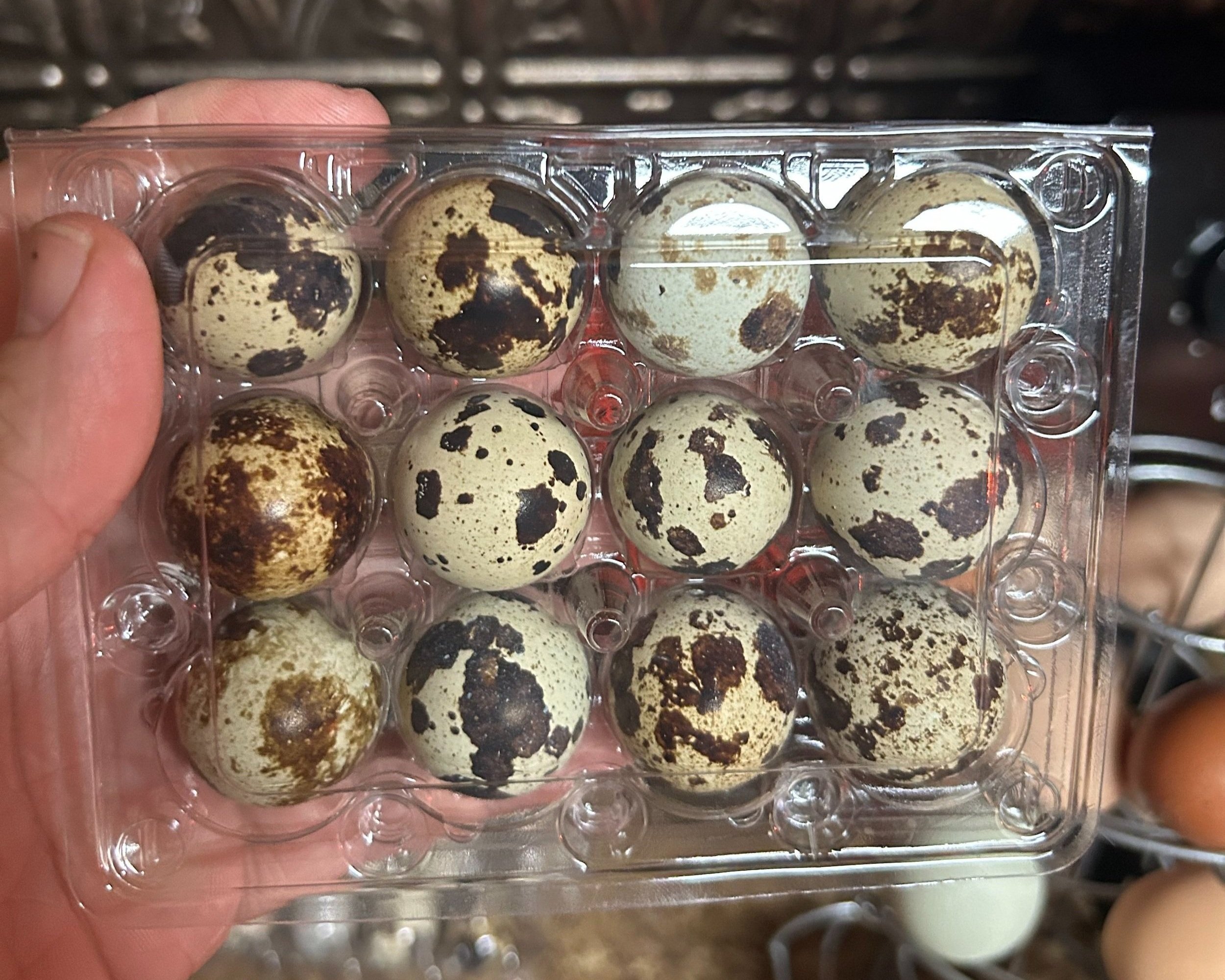 Party%2BBox%2BEggs.jpg