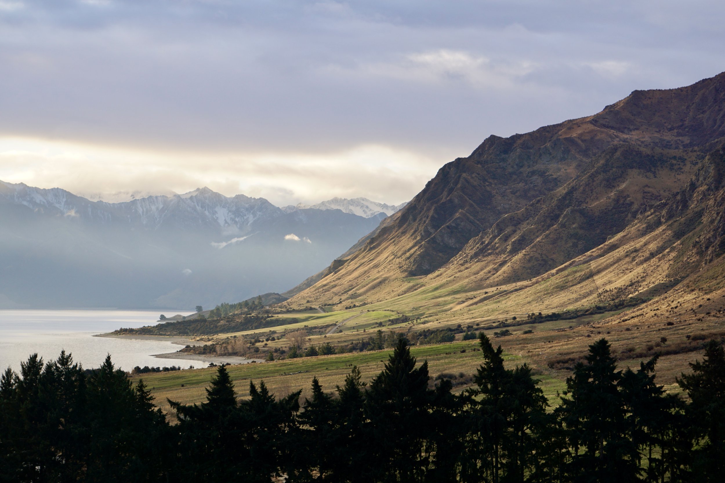 _DSC9025.jpg