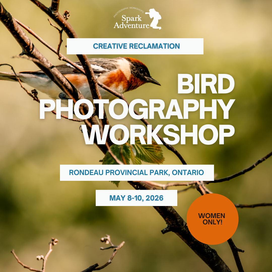 Pillar Two Post (22).png