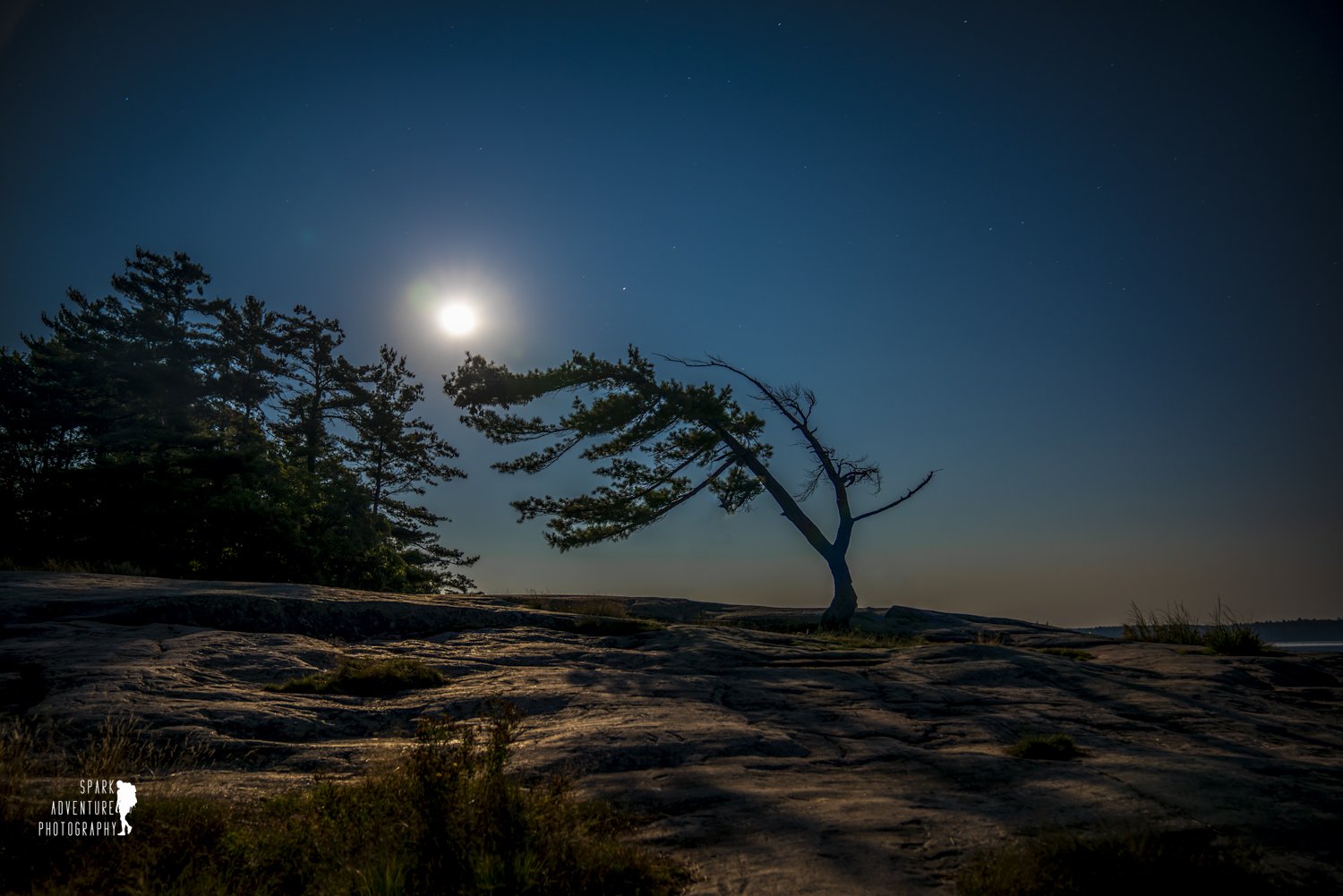 Night landscape with a bright full moon, a silhouetted leaning tree, and other trees on rocky terrain under a starry sky.