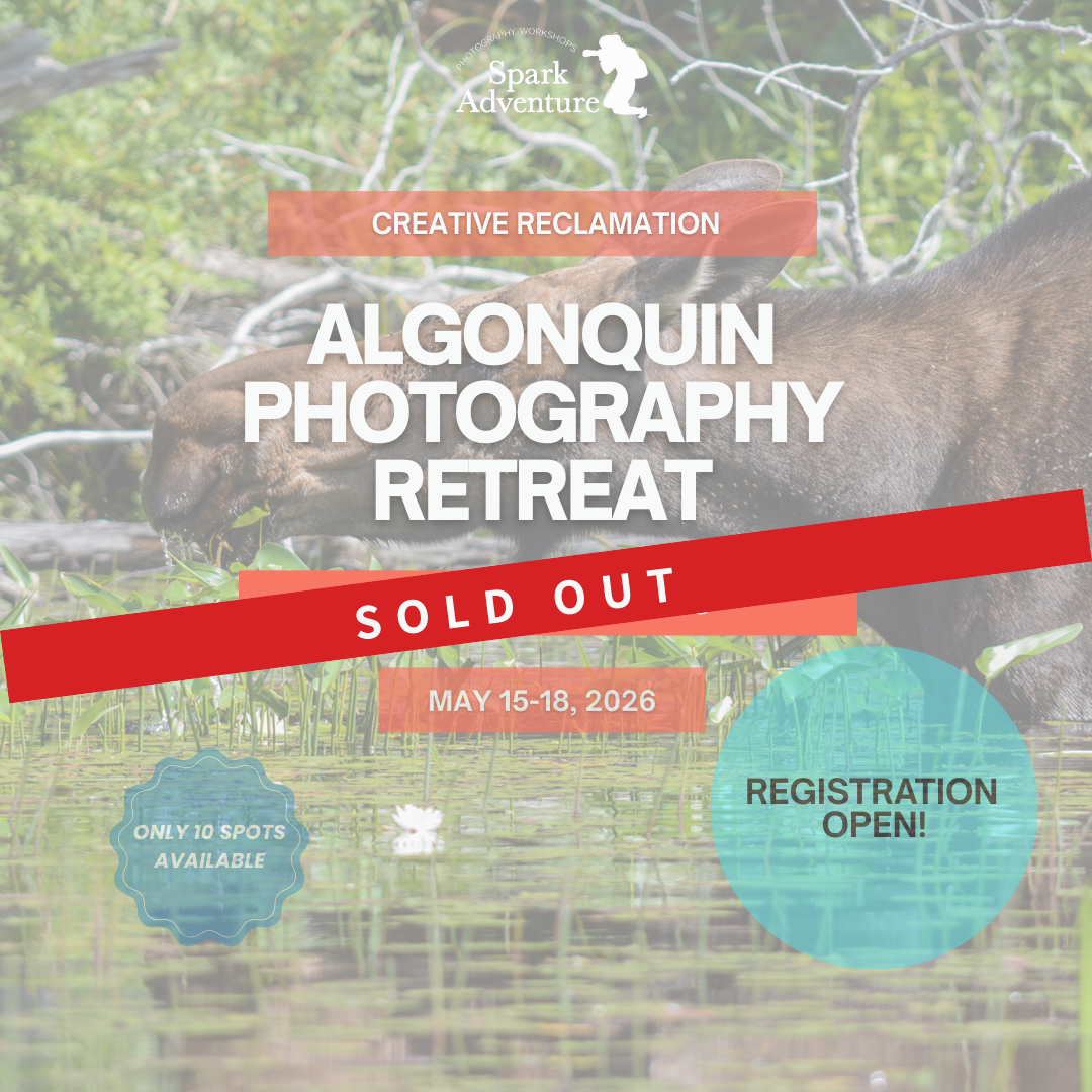 Pillar Two Post (12).png