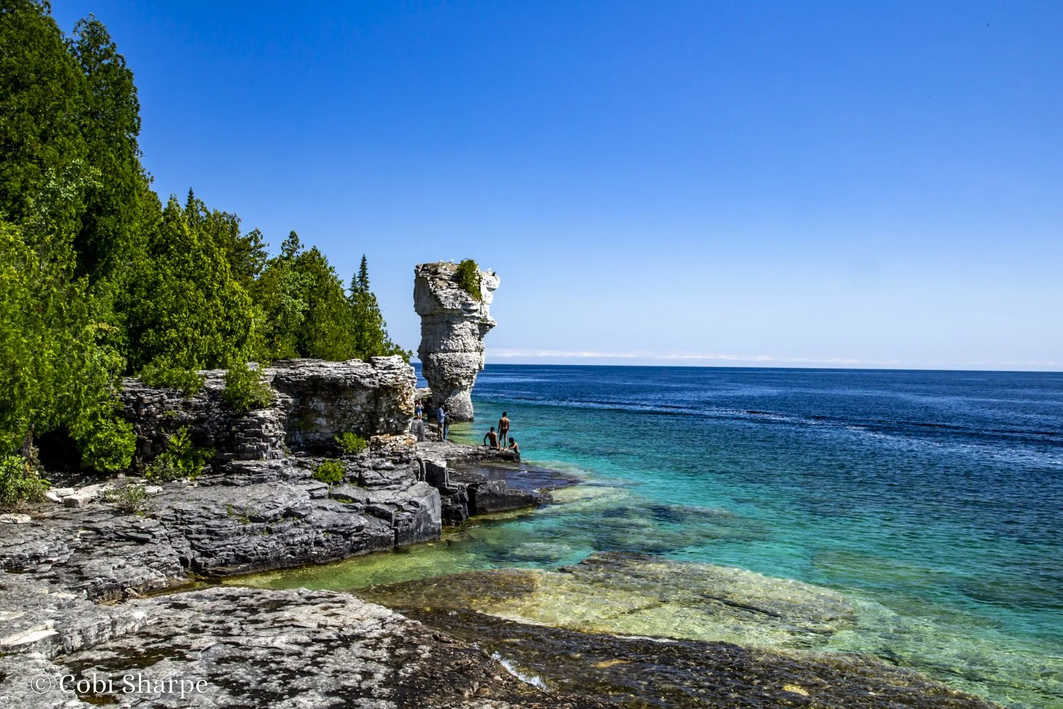 flowerpot island photography workshop