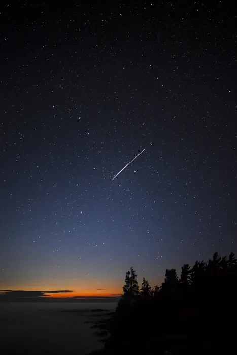 MG_9456_Ariel Estulin.webp