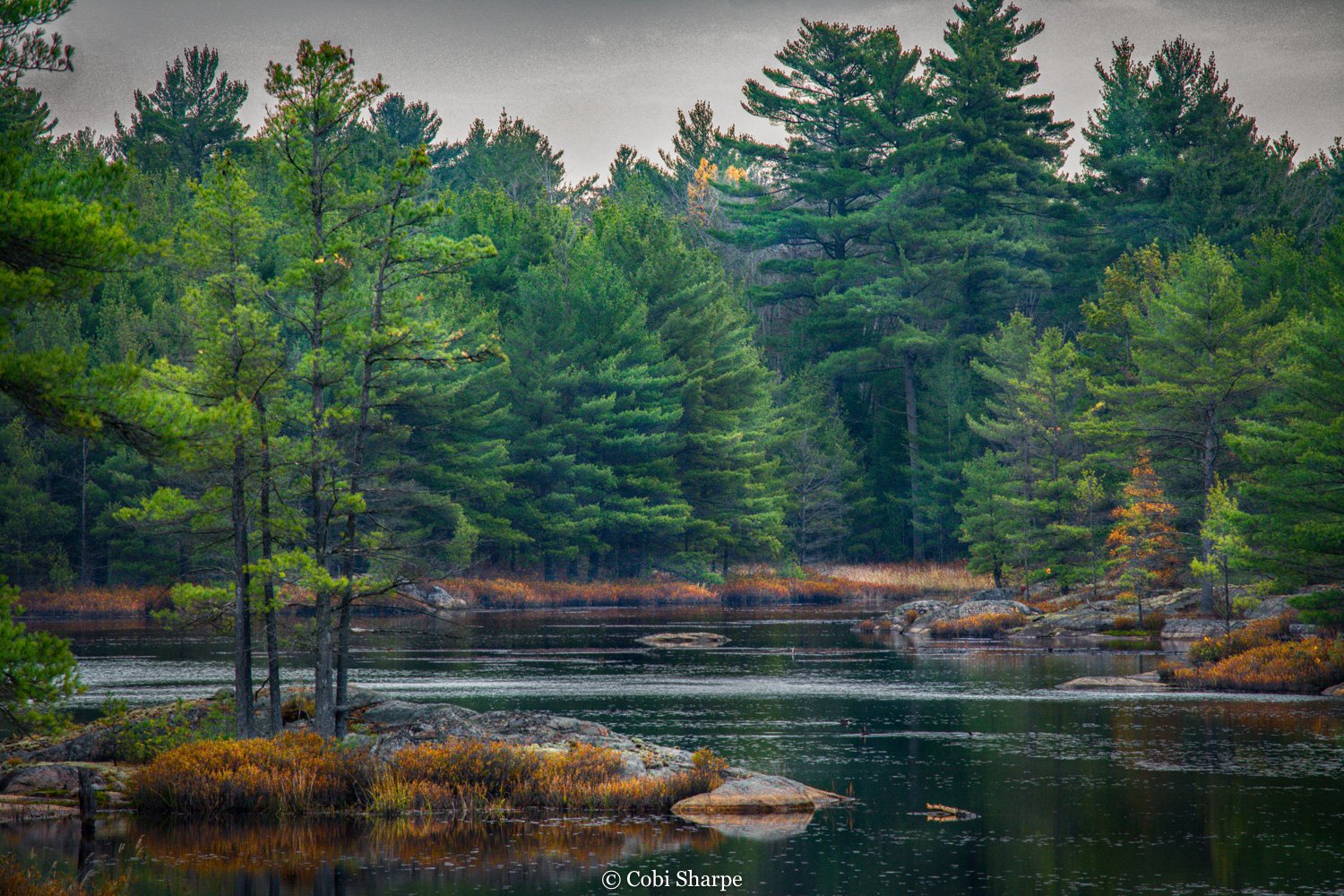 _CES7355-Edit.jpg