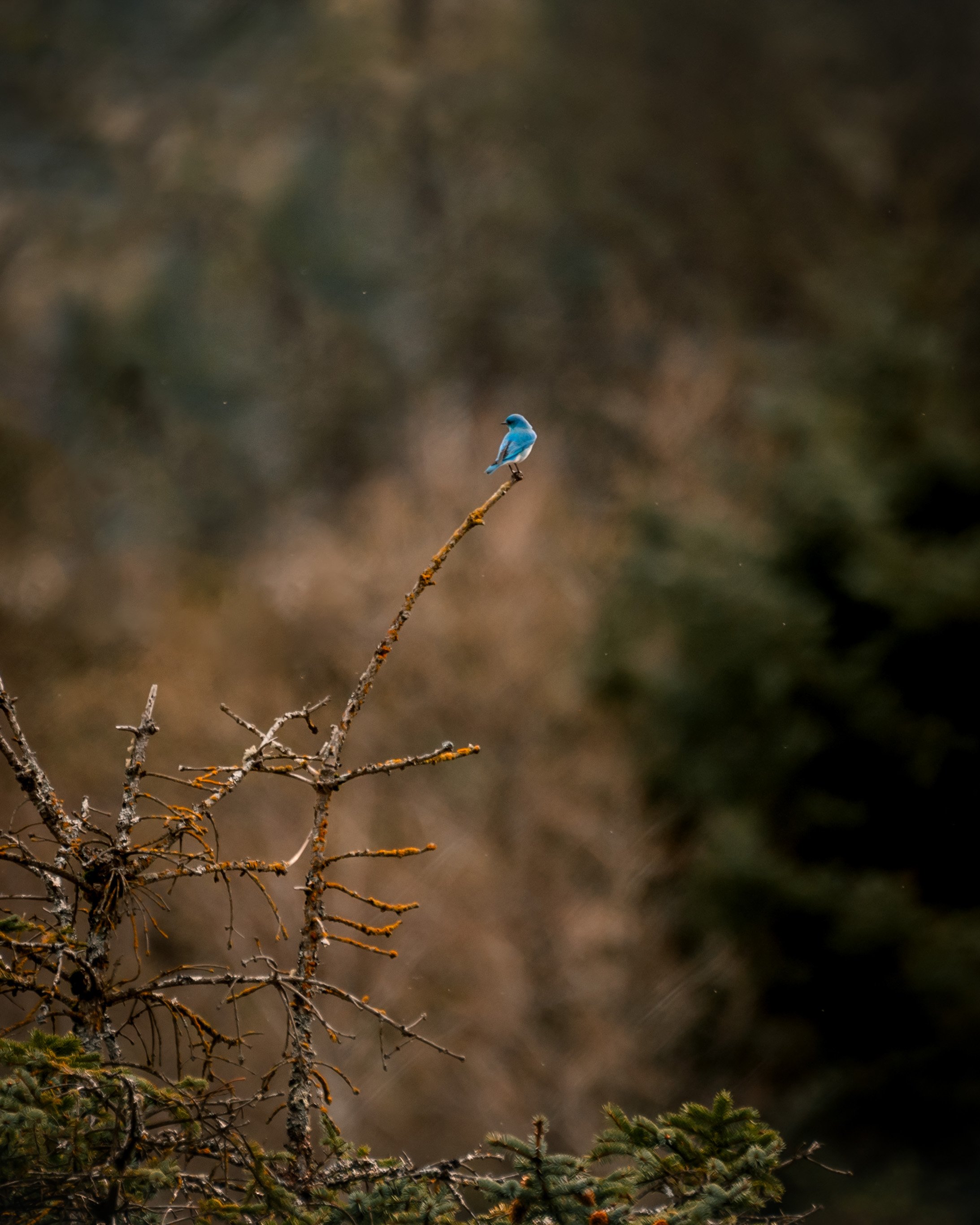 © Alyssa Bardy Photography