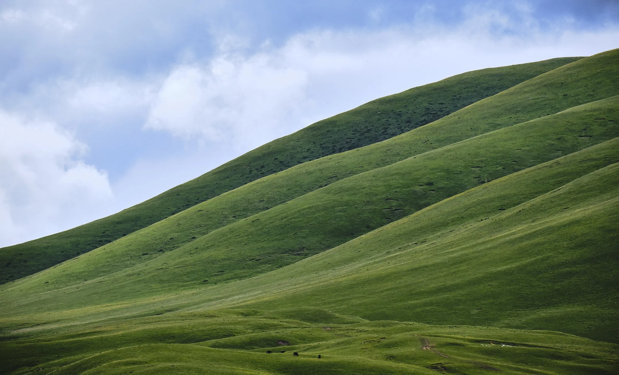 AE_Kham_July2019_0175 2.jpg