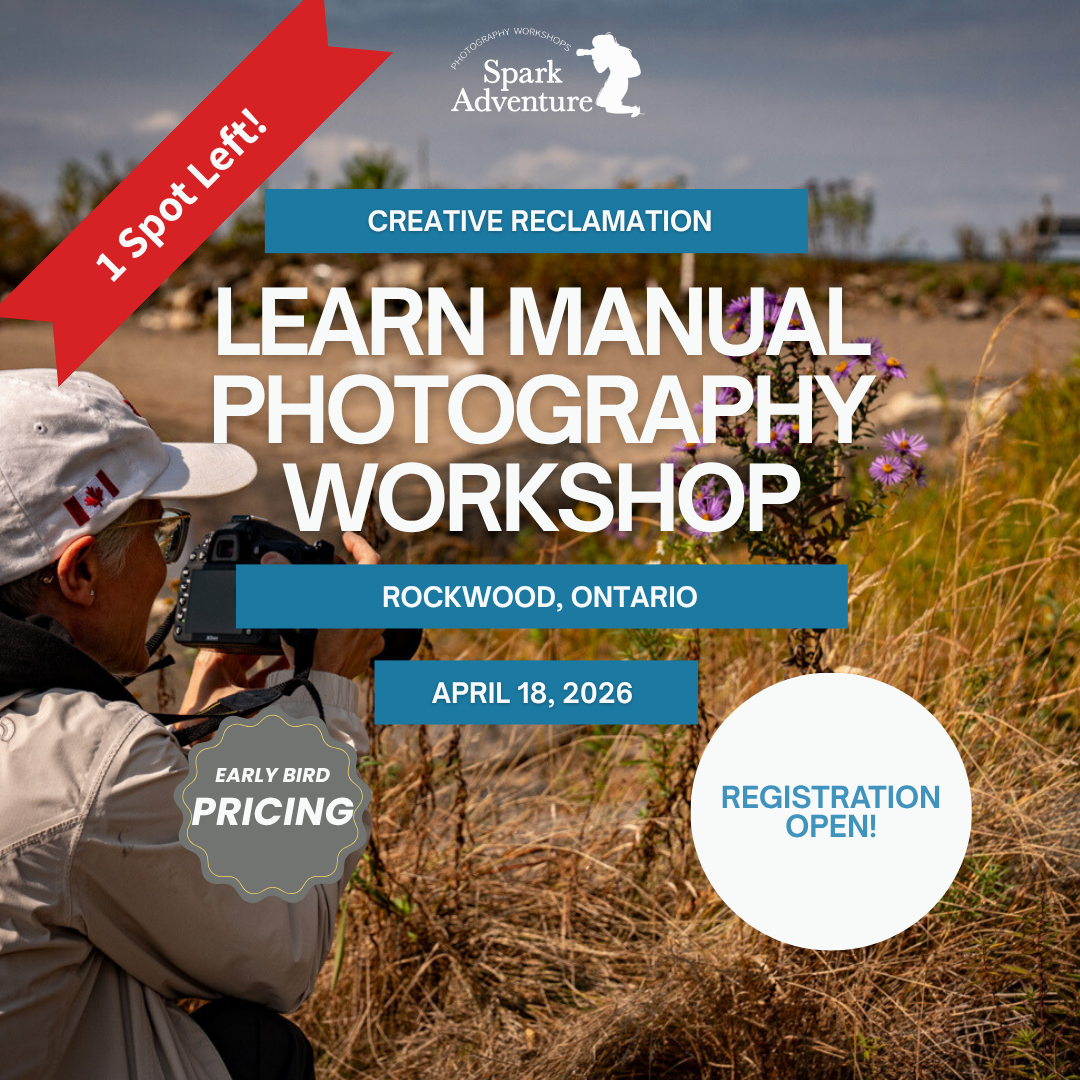 Pillar Two Post (26).png