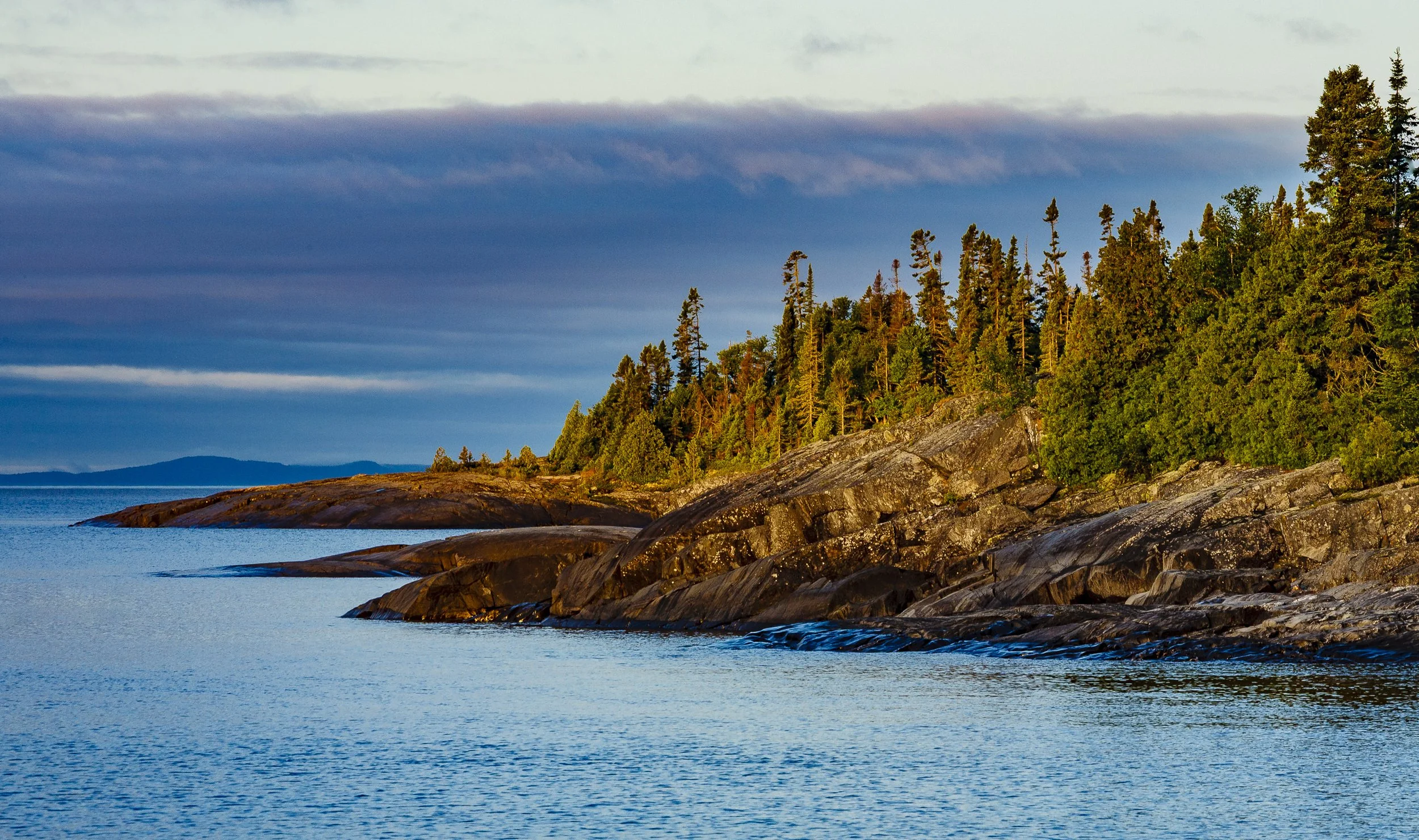 Rocky shoreline with evergreen trees under a cloudy sky at sunset