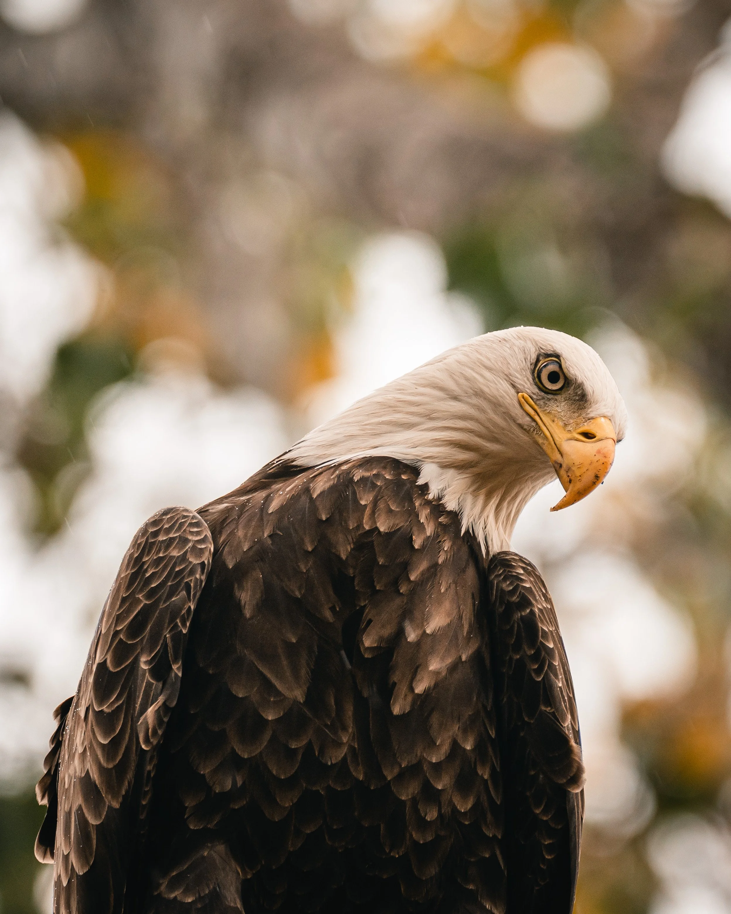 © Alyssa Bardy Photography