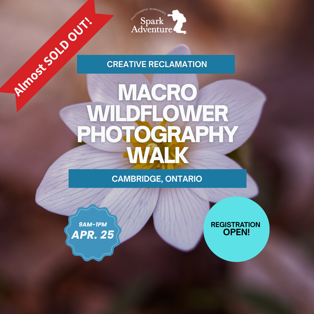 Pillar Two Post (34).png