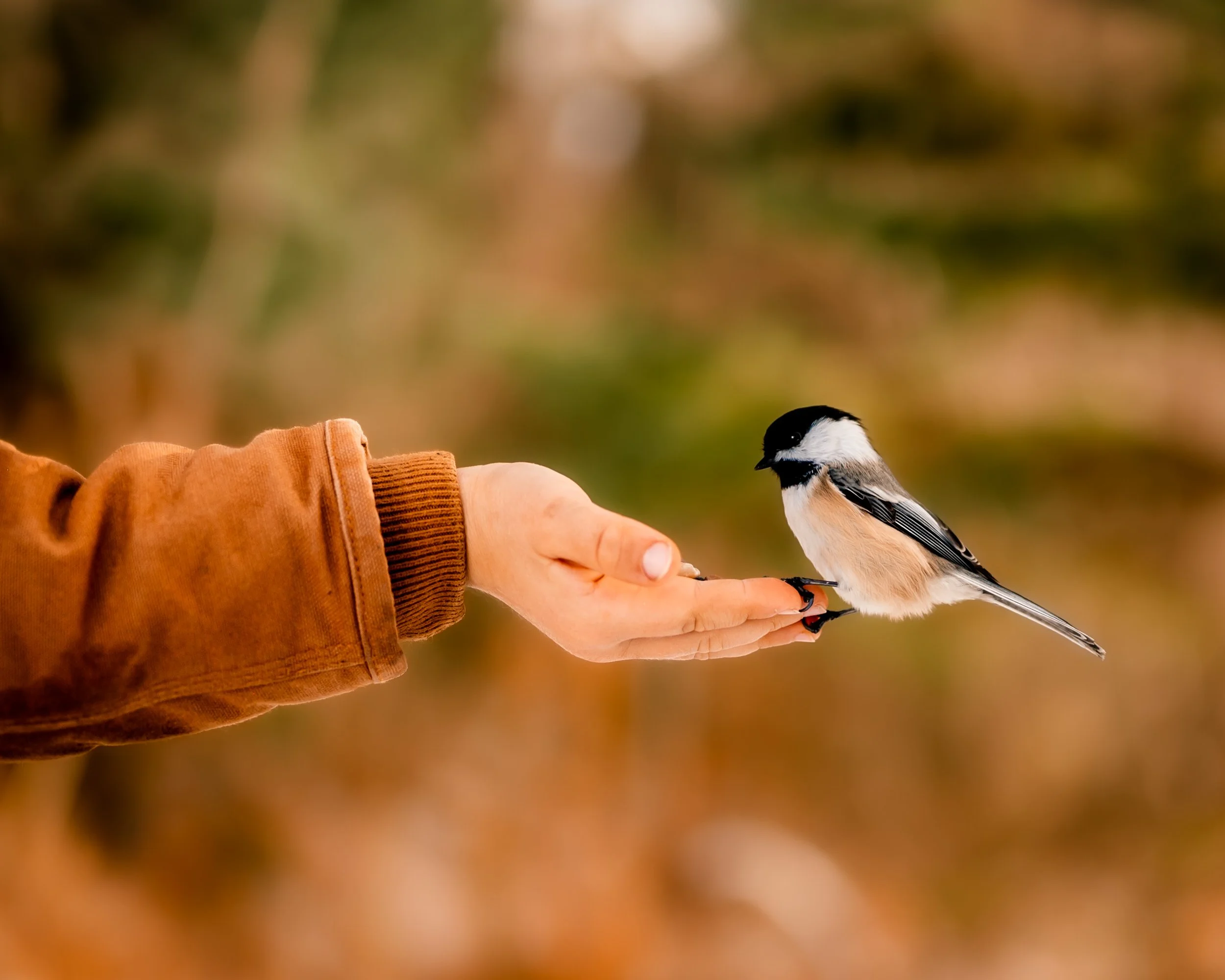 © Alyssa Bardy Photography