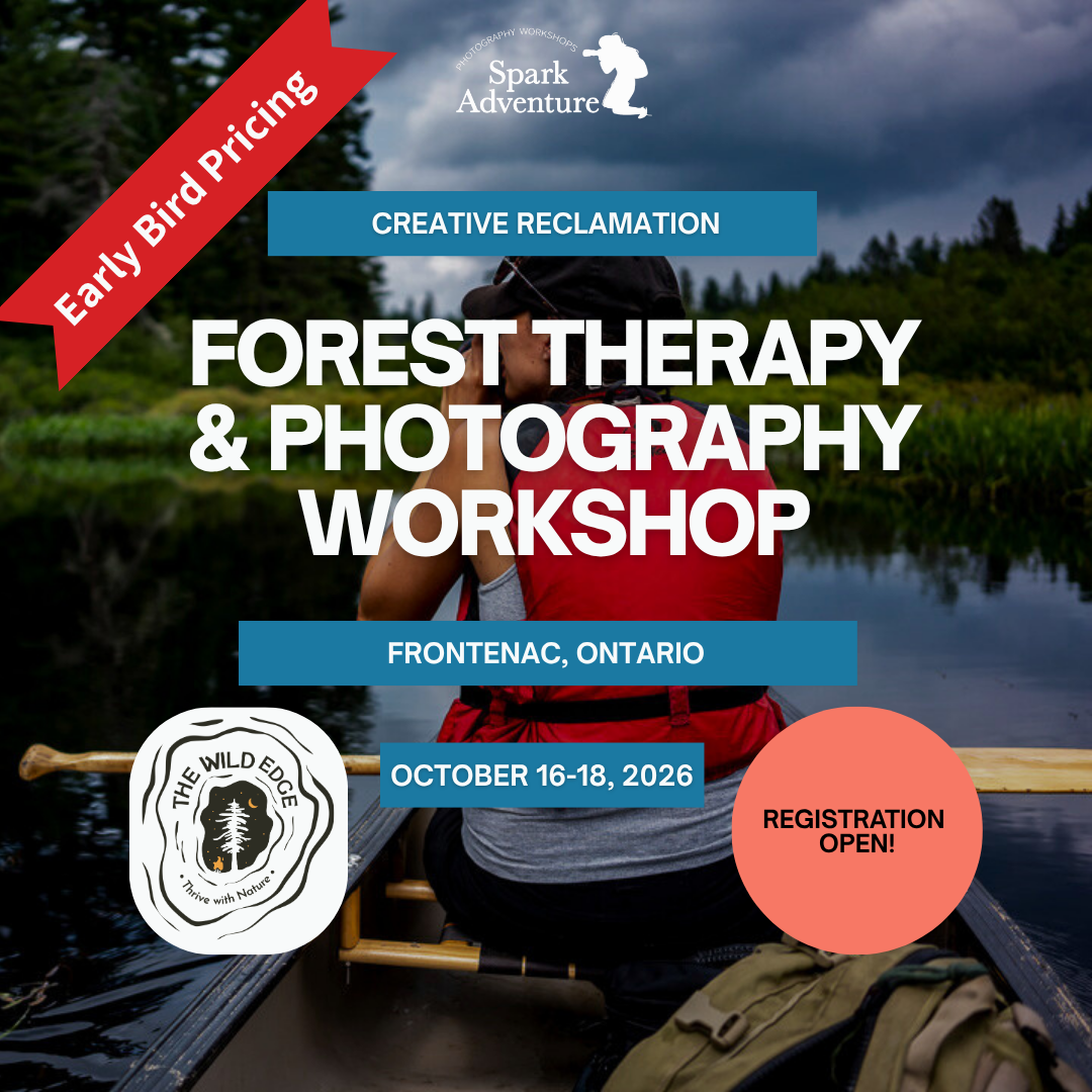 Pillar Two Post (27).png