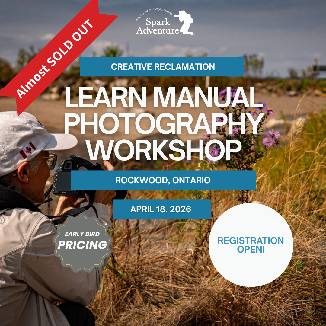 Pillar Two Post (25).png