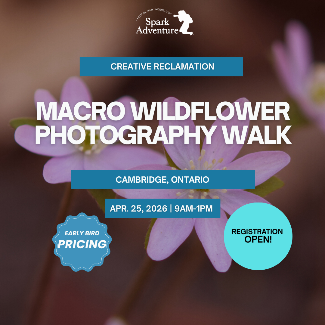 Pillar Two Post (24).png