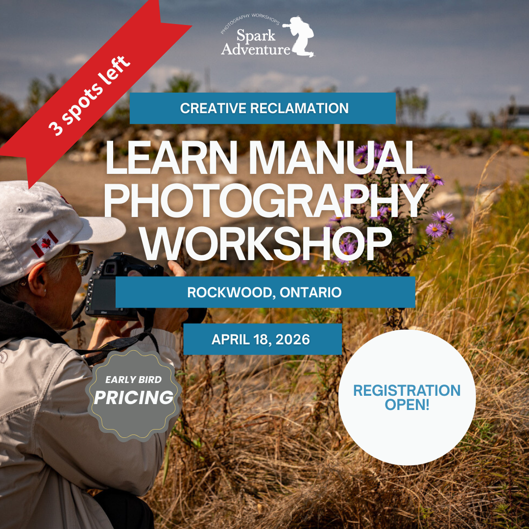 Pillar Two Post (23).png