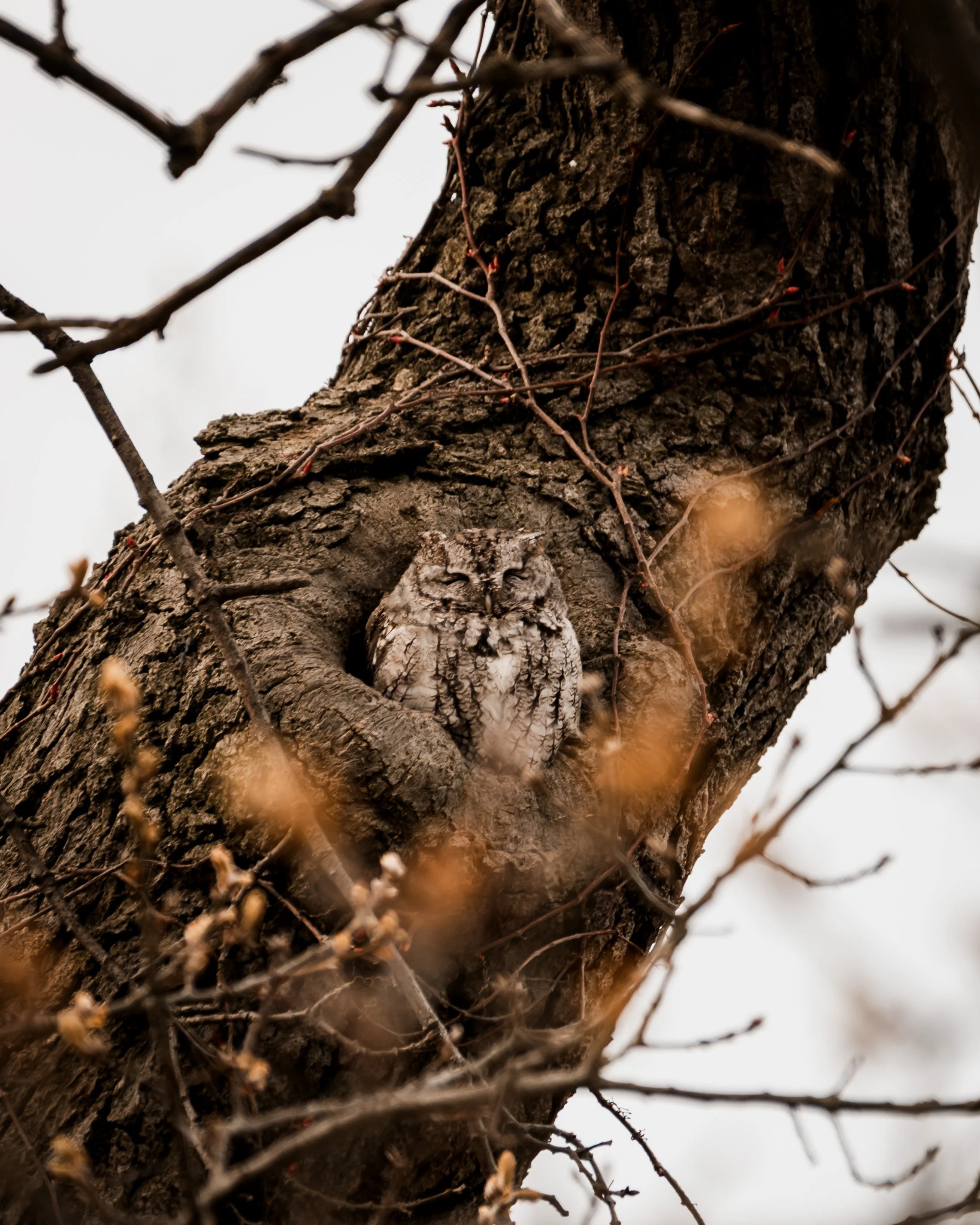 © Alyssa Bardy Photography