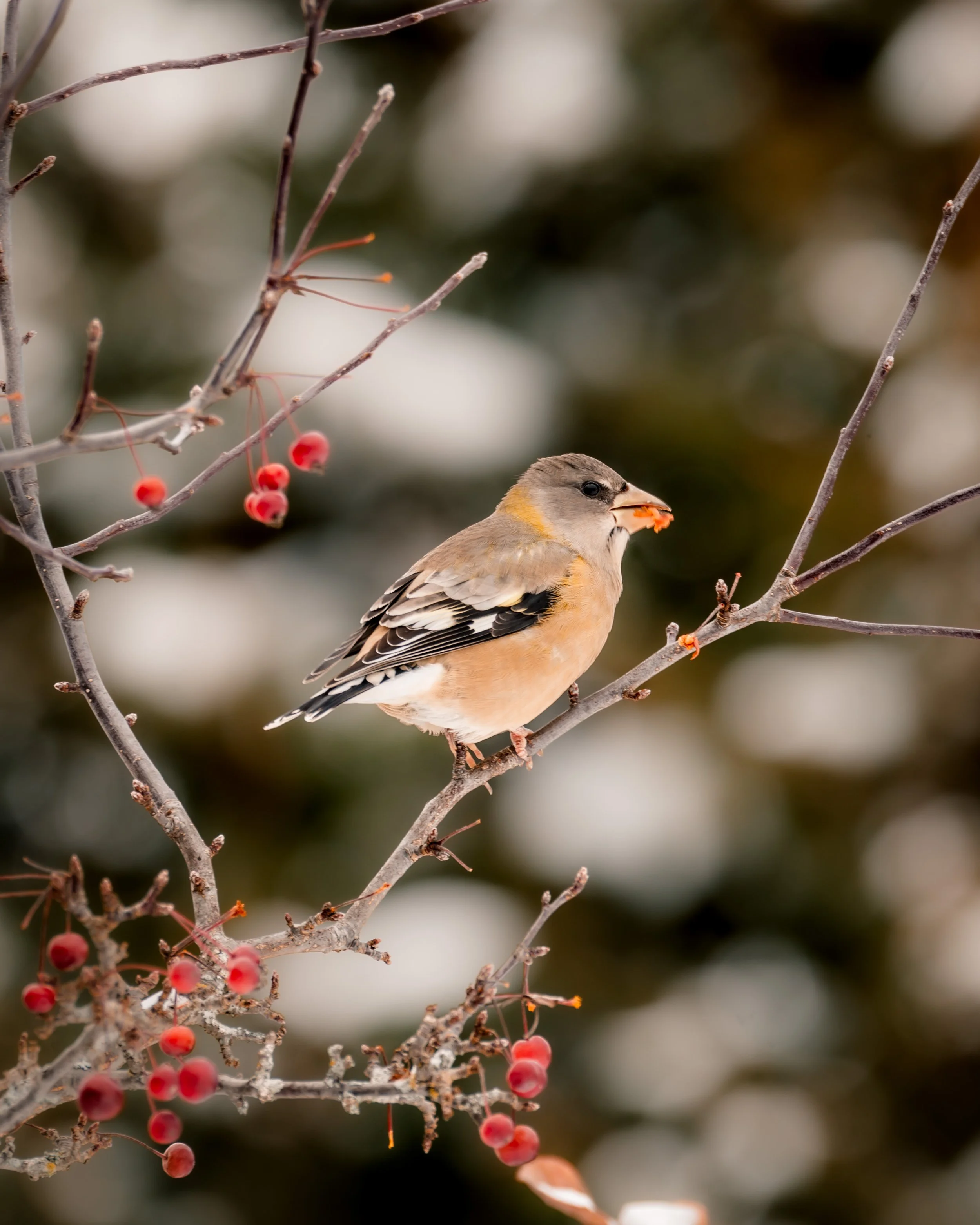 © Alyssa Bardy Photography