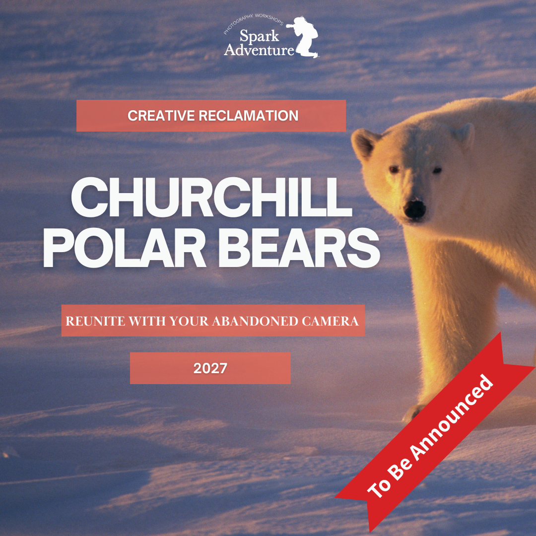 Pillar Two Post (17).png