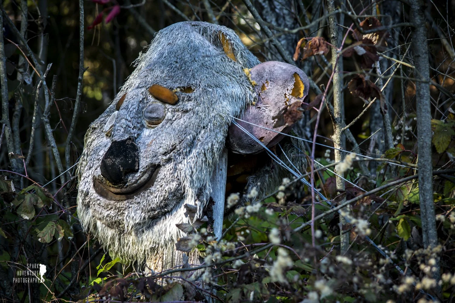 A weathered, stuffed animal resembling a dog with a large nose, tangled in overgrown branches and leaves.