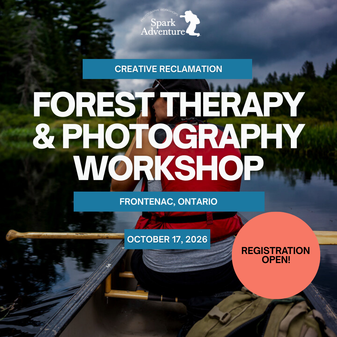 Pillar Two Post (9).png