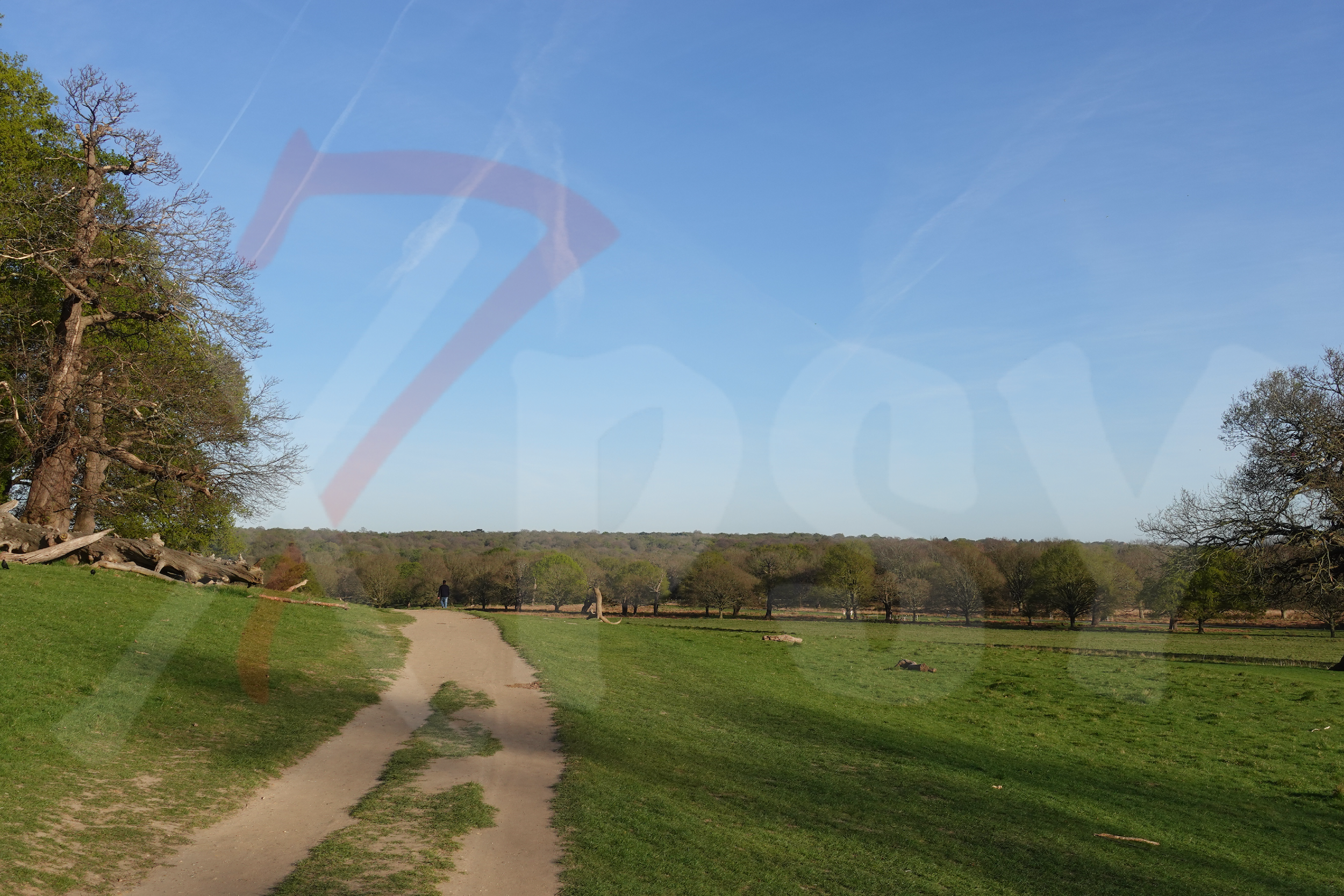 Richmond Park [Photo 022] PP.PNG