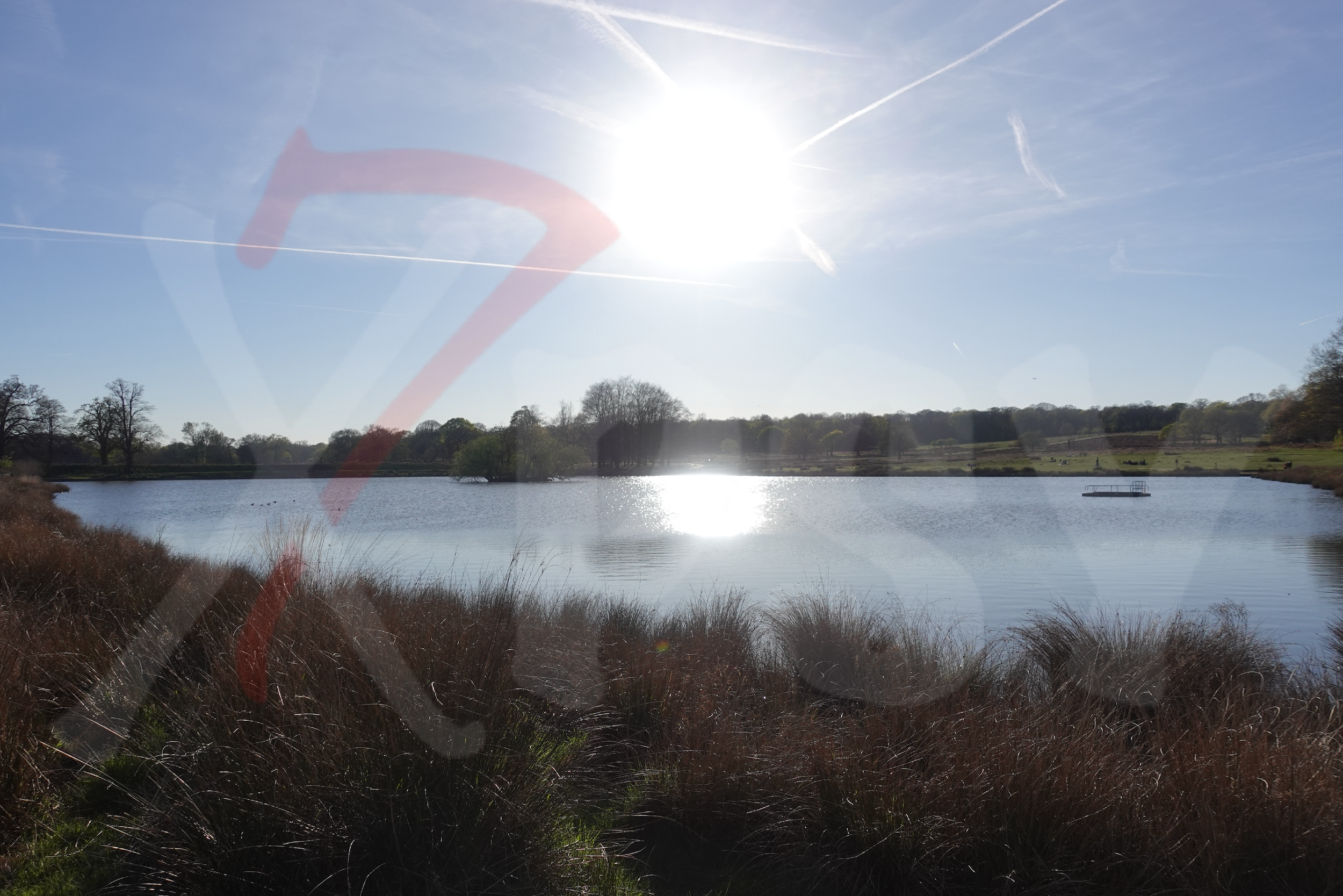 Richmond Park [Photo 017] PP.PNG