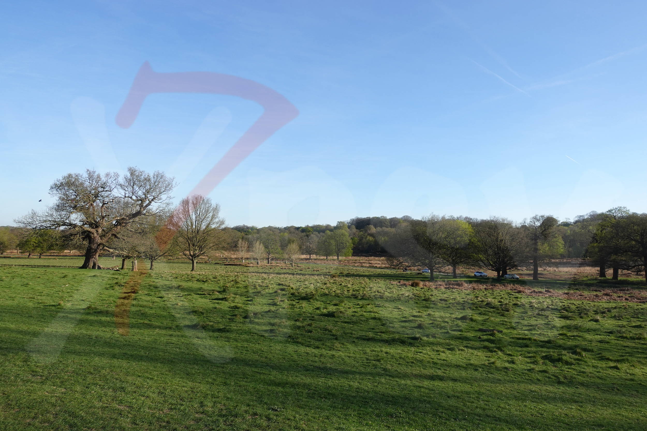 Richmond Park [Photo 021] PP.PNG