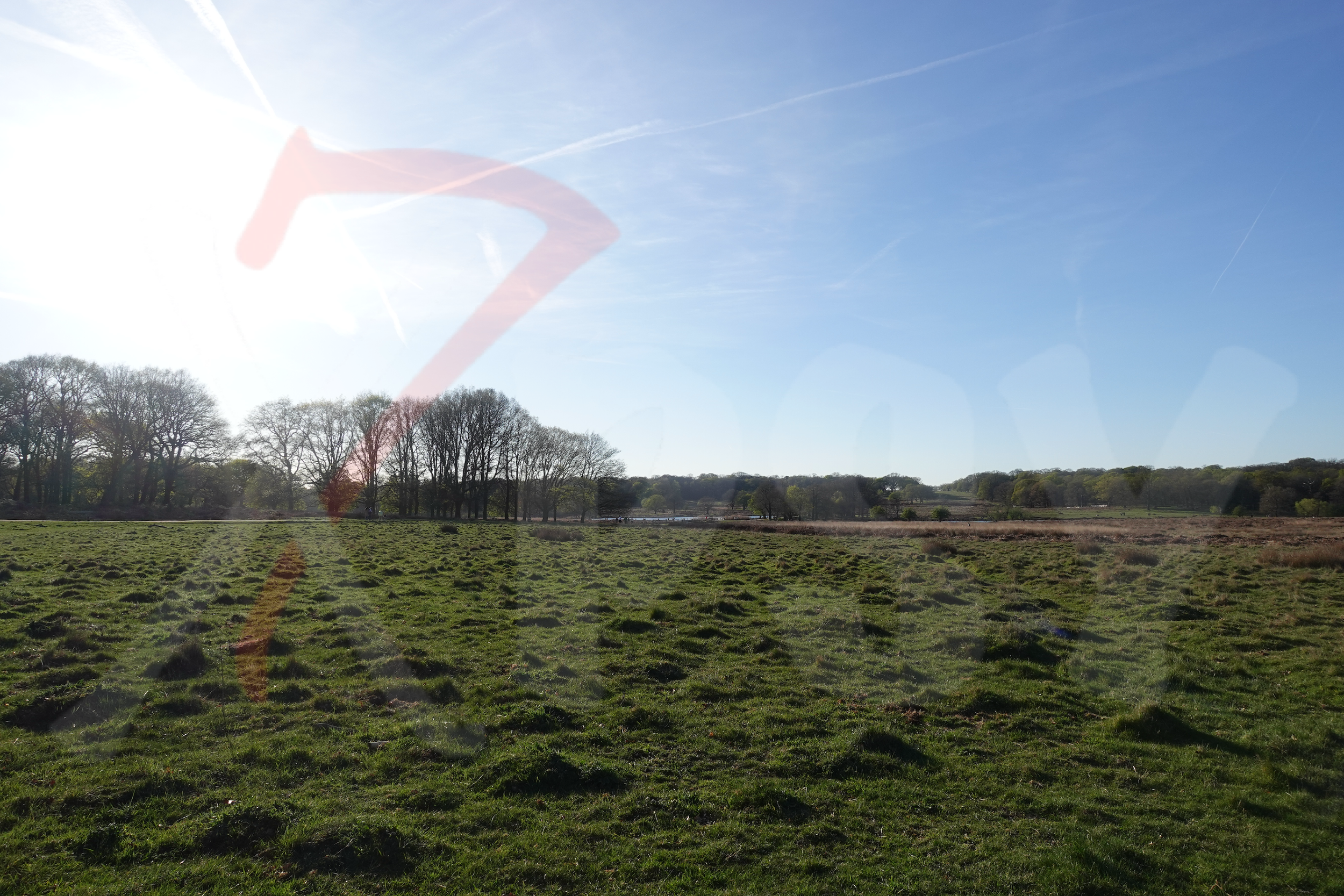 Richmond Park [Photo 020] PP.PNG