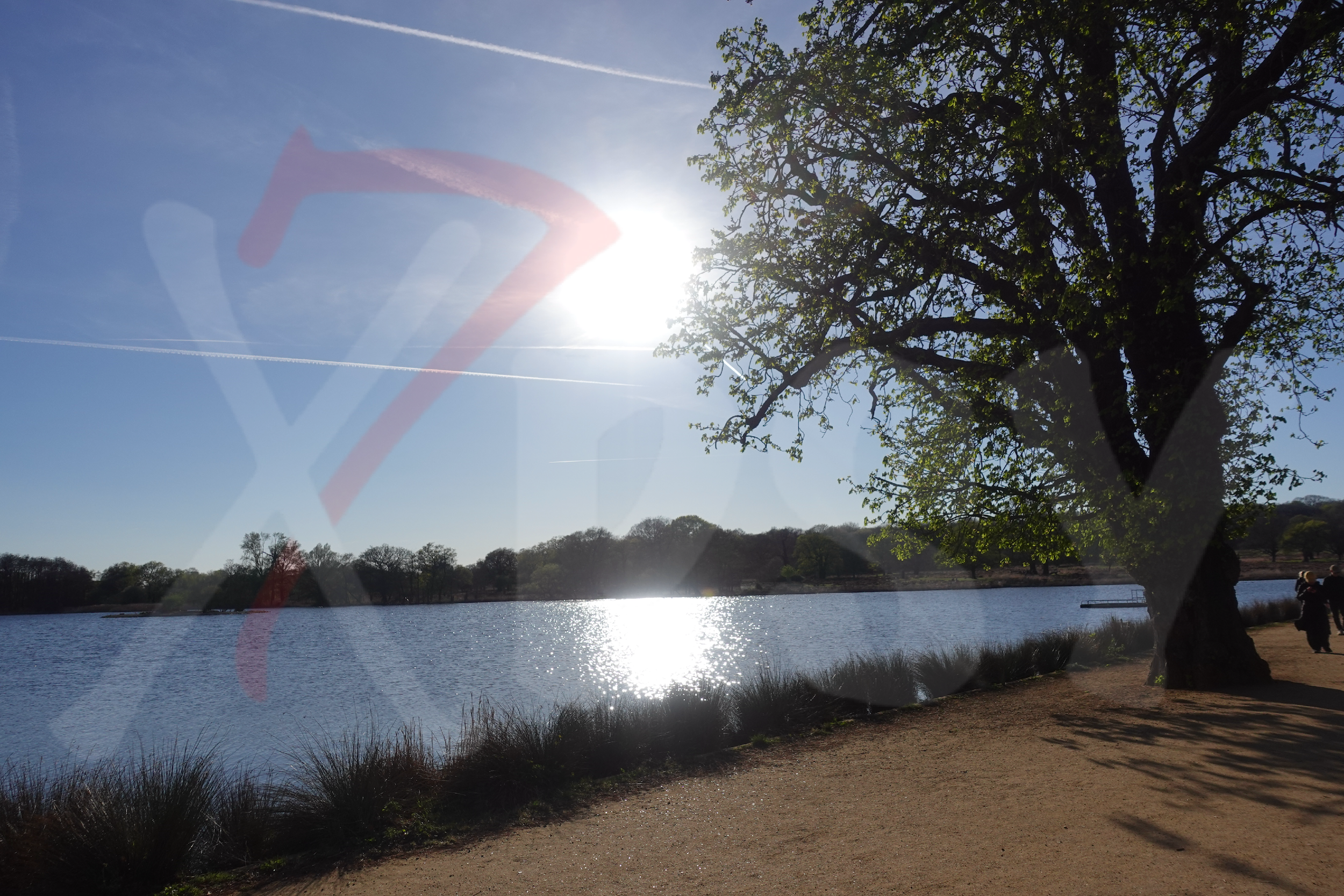 Richmond Park [Photo 014] PP.PNG