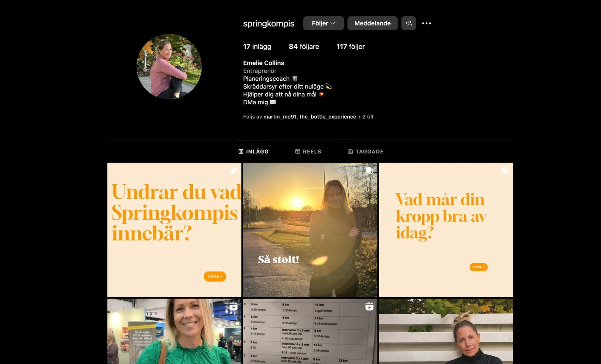 Skärmavbild 2024-11-28 kl. 16.49.36.jpg