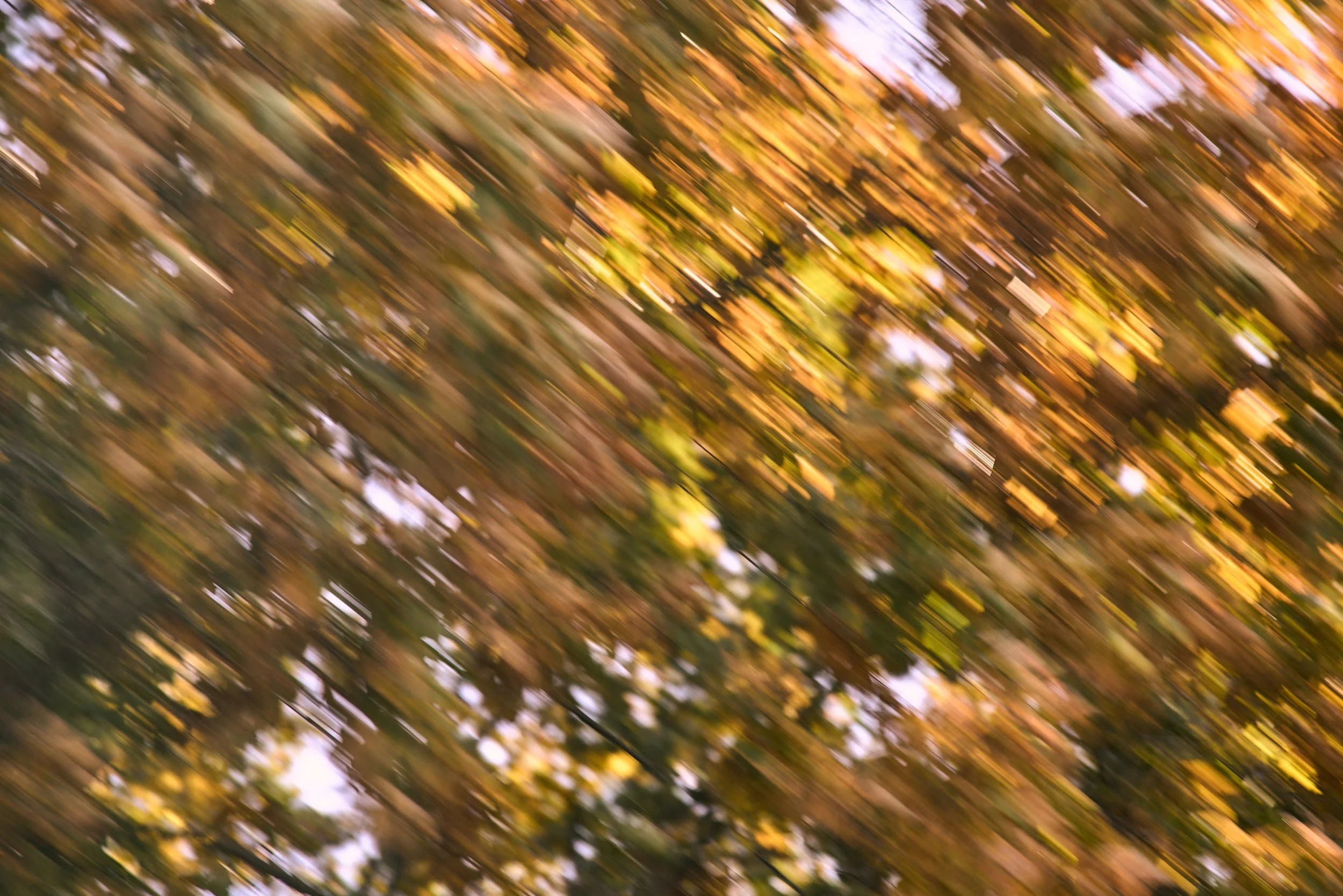 20241119_00006.jpg