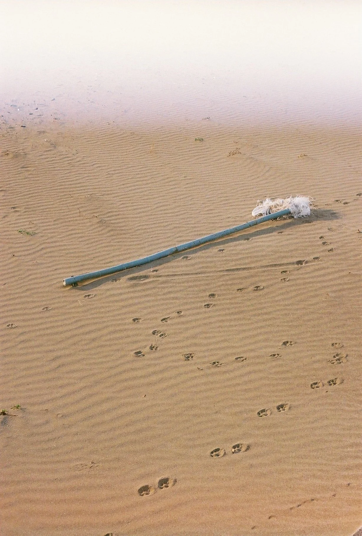 0103458_0020.JPG