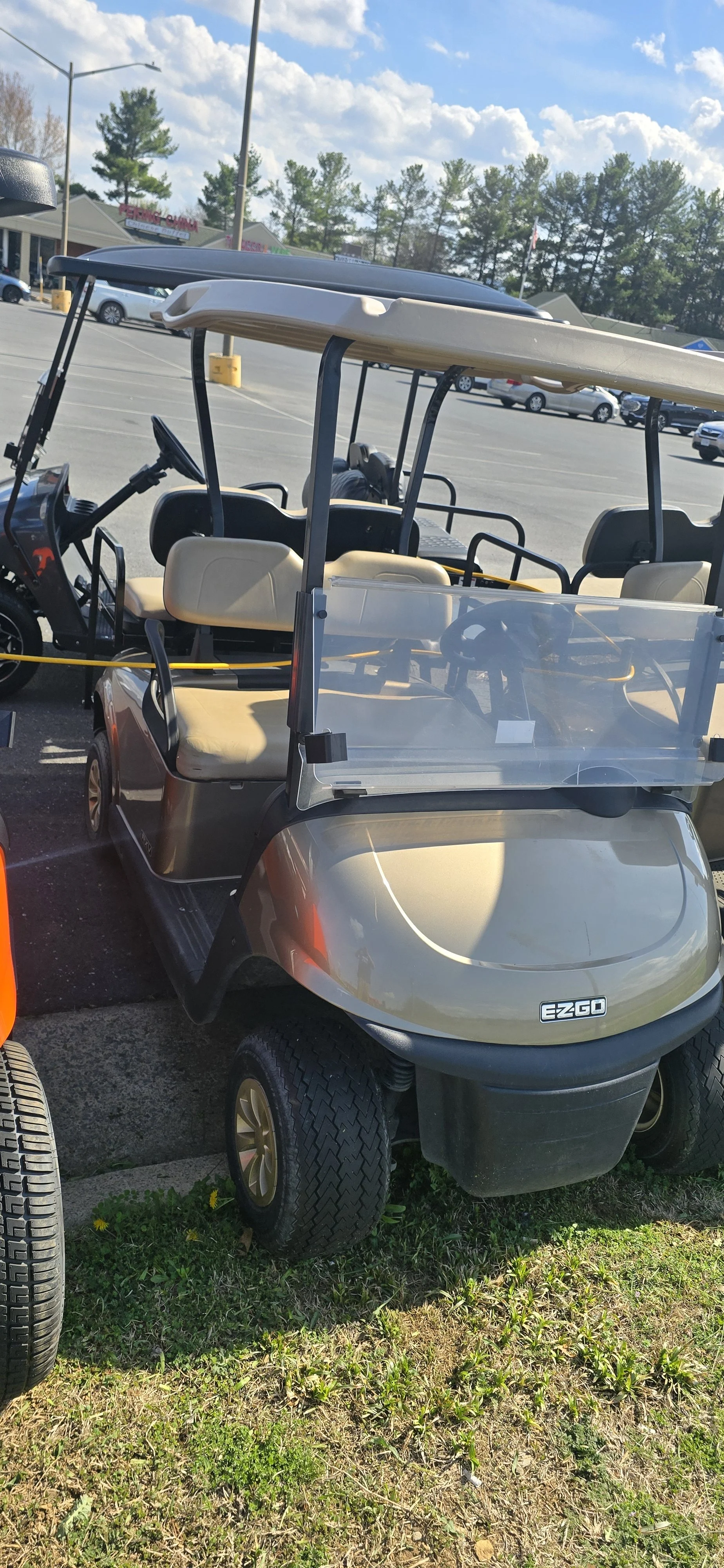 2019 EZGO RXV