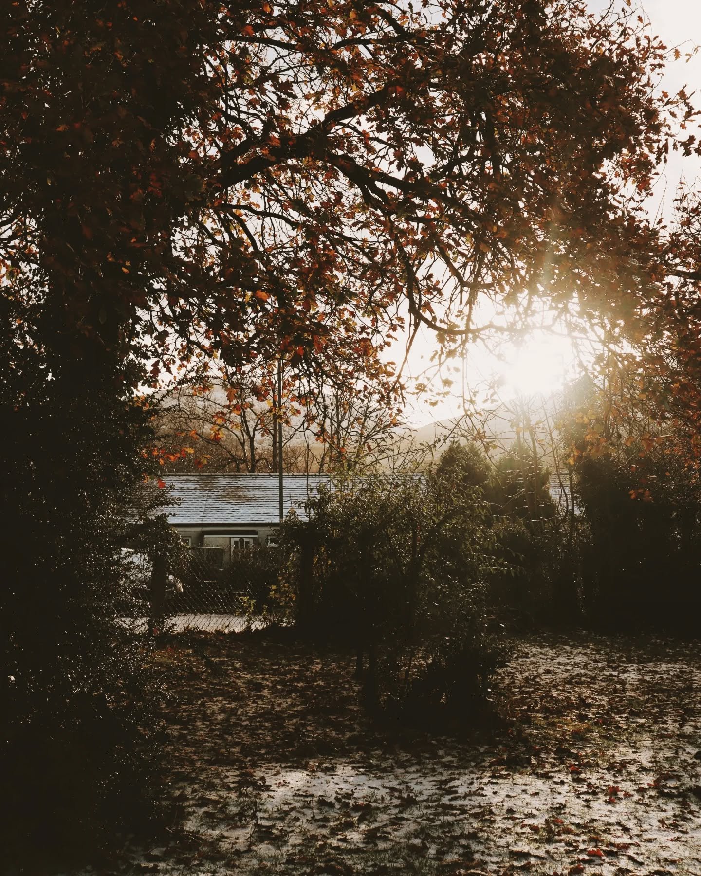 Morning light into the roastery and midday day snow🌞🌨️