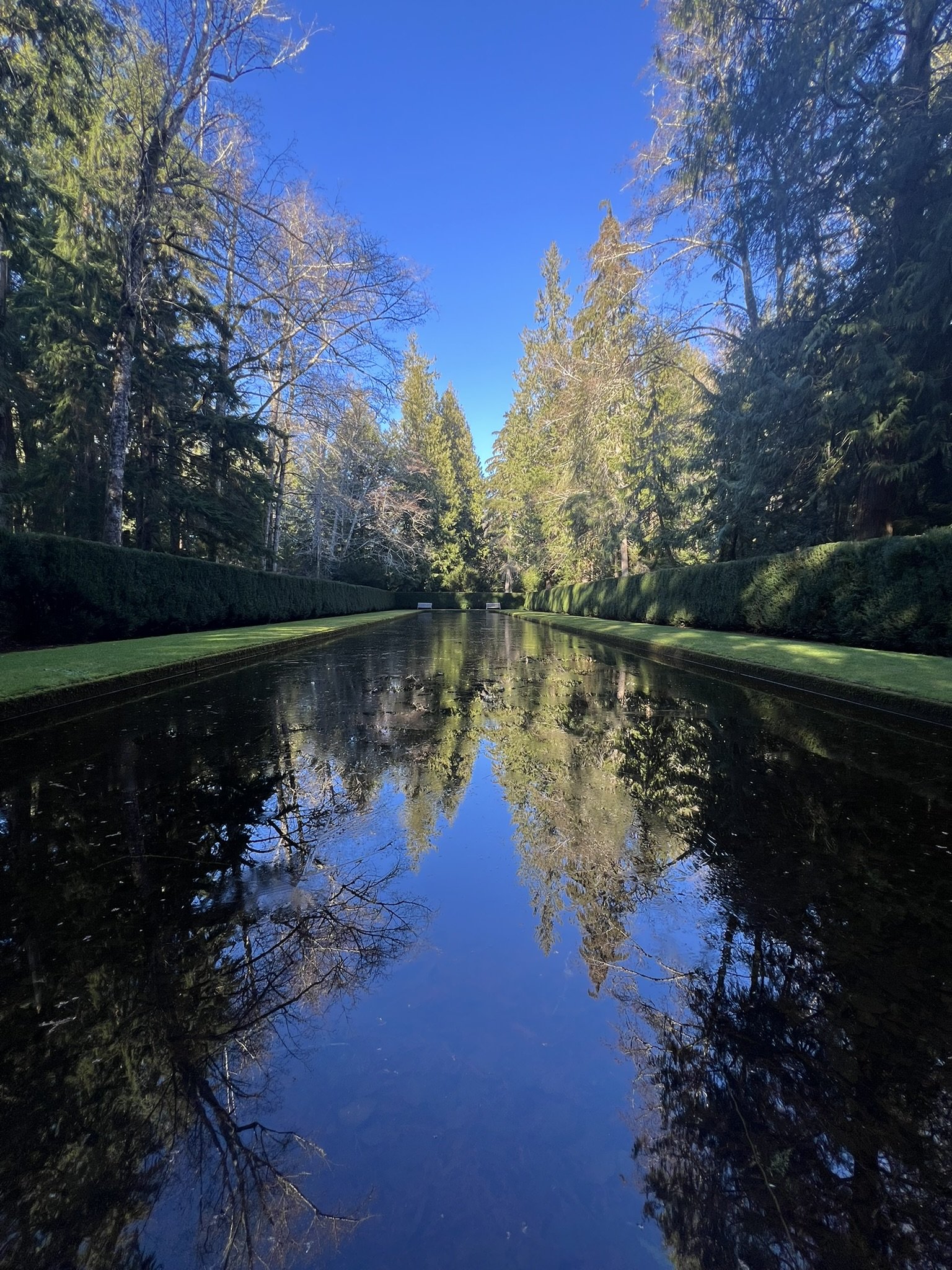  The reflecting pool at Bloedel Reserve mirrors tall evergreen trees and a bright blue sky, bordered by manicured hedges and a forested backdrop. 