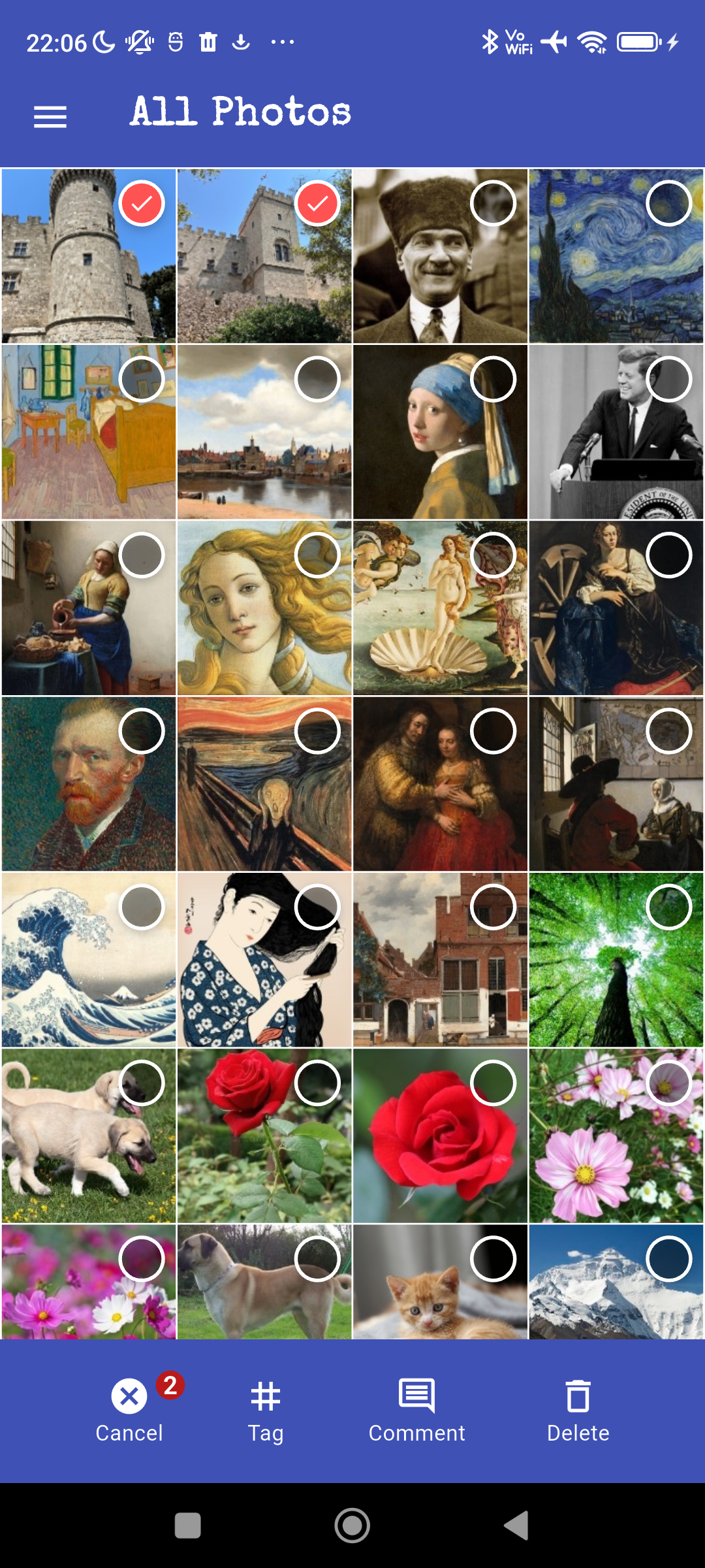 Screenshot of a photo gallery app displaying various images including castles, famous paintings, historical figures, landscapes, flowers, animals, and a mountain, with some images selected or marked.