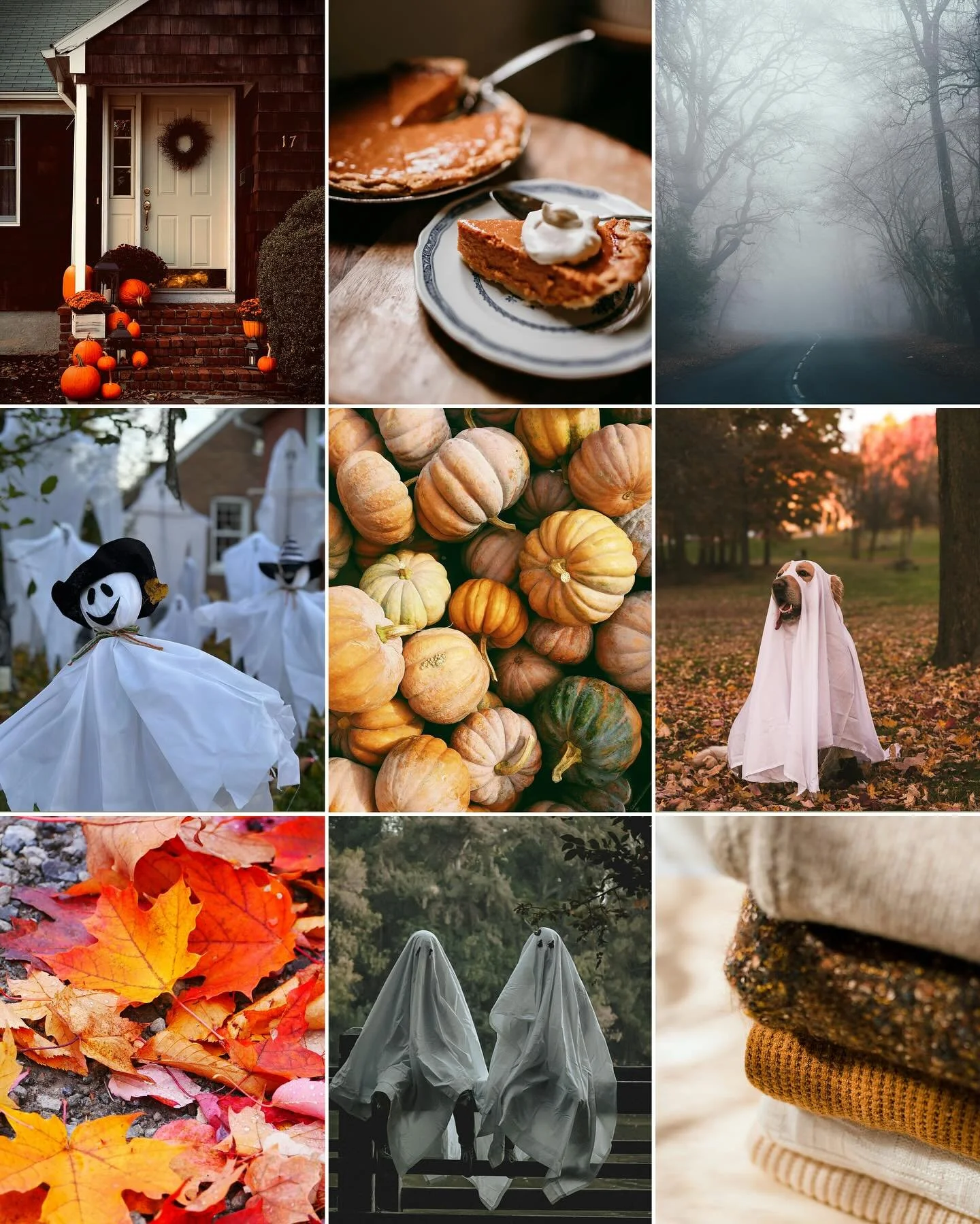 🍂 October is here, and it&rsquo;s giving all the cozy-home vibes.
 Pumpkin-lined front steps, foggy morning drives, warm sweaters on repeat&hellip; and yes, even the occasional ghost-dog cameo. 🐾👻

This is the season when houses really shine. Fall