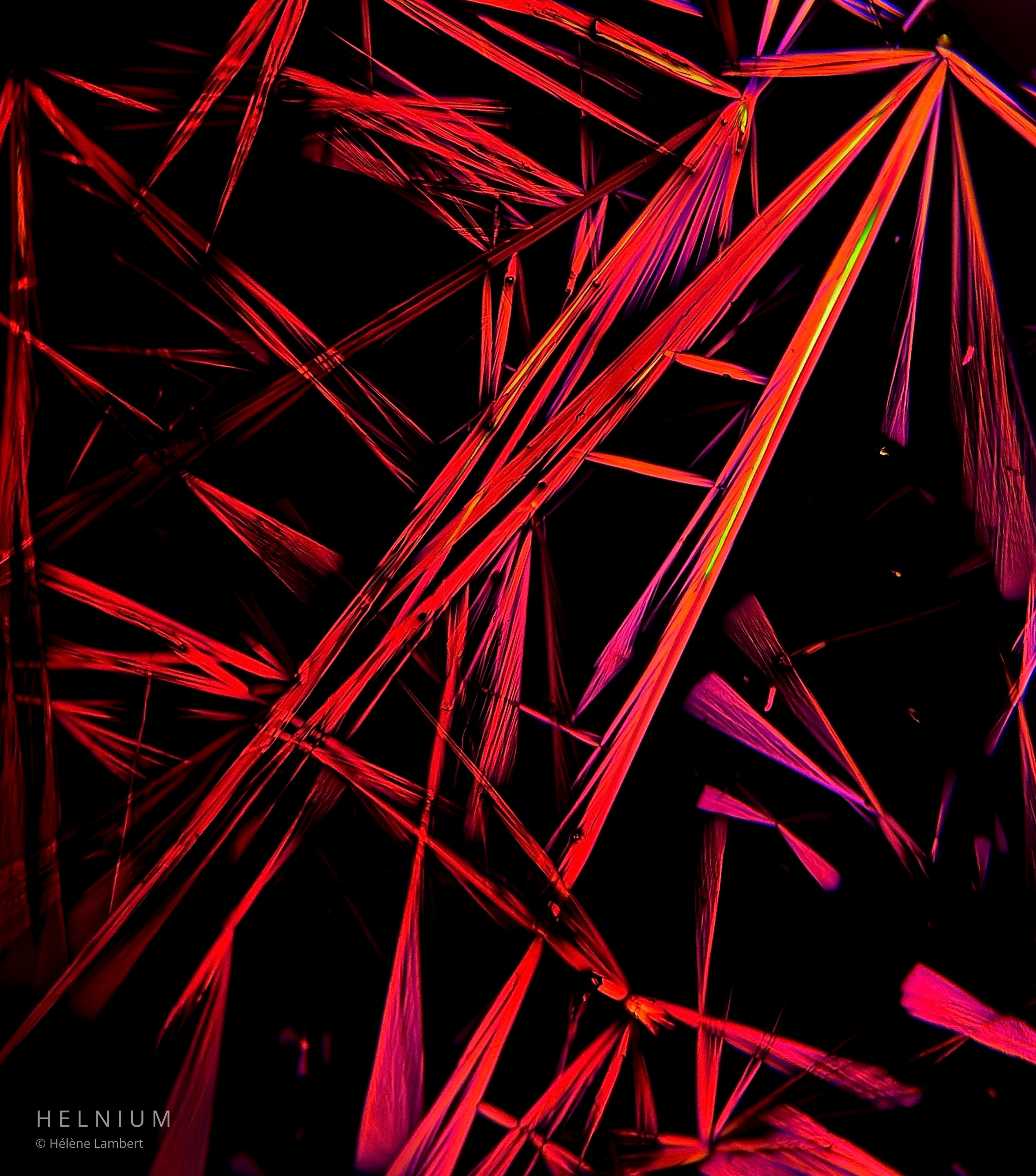 Vitamin B12 crystalline sample photographed under polarized light microscopy, second study. Helnium.
