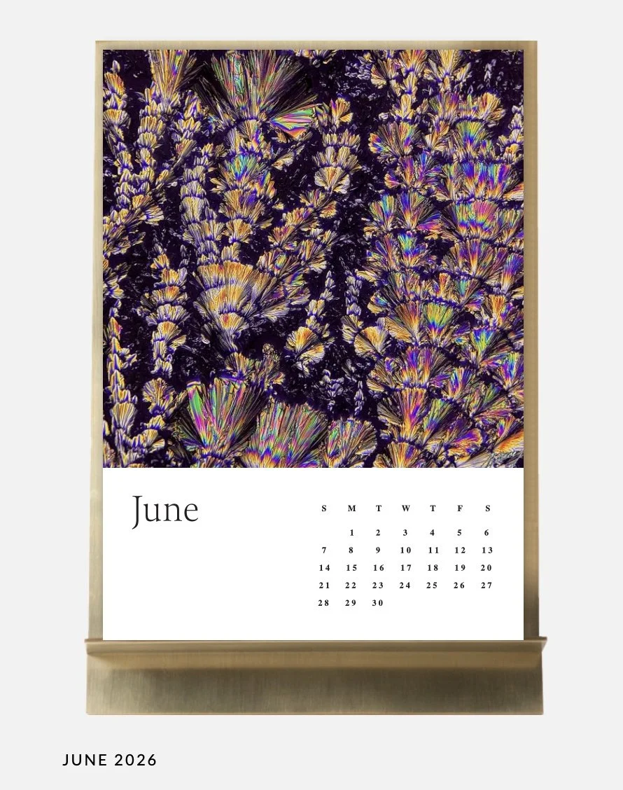 Image 10.01.26 à 11.33 (2).jpeg