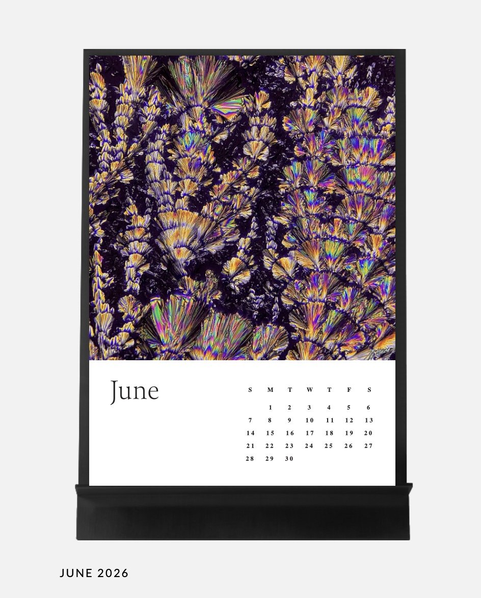 Image 14.01.26 à 17.04 (1).jpeg