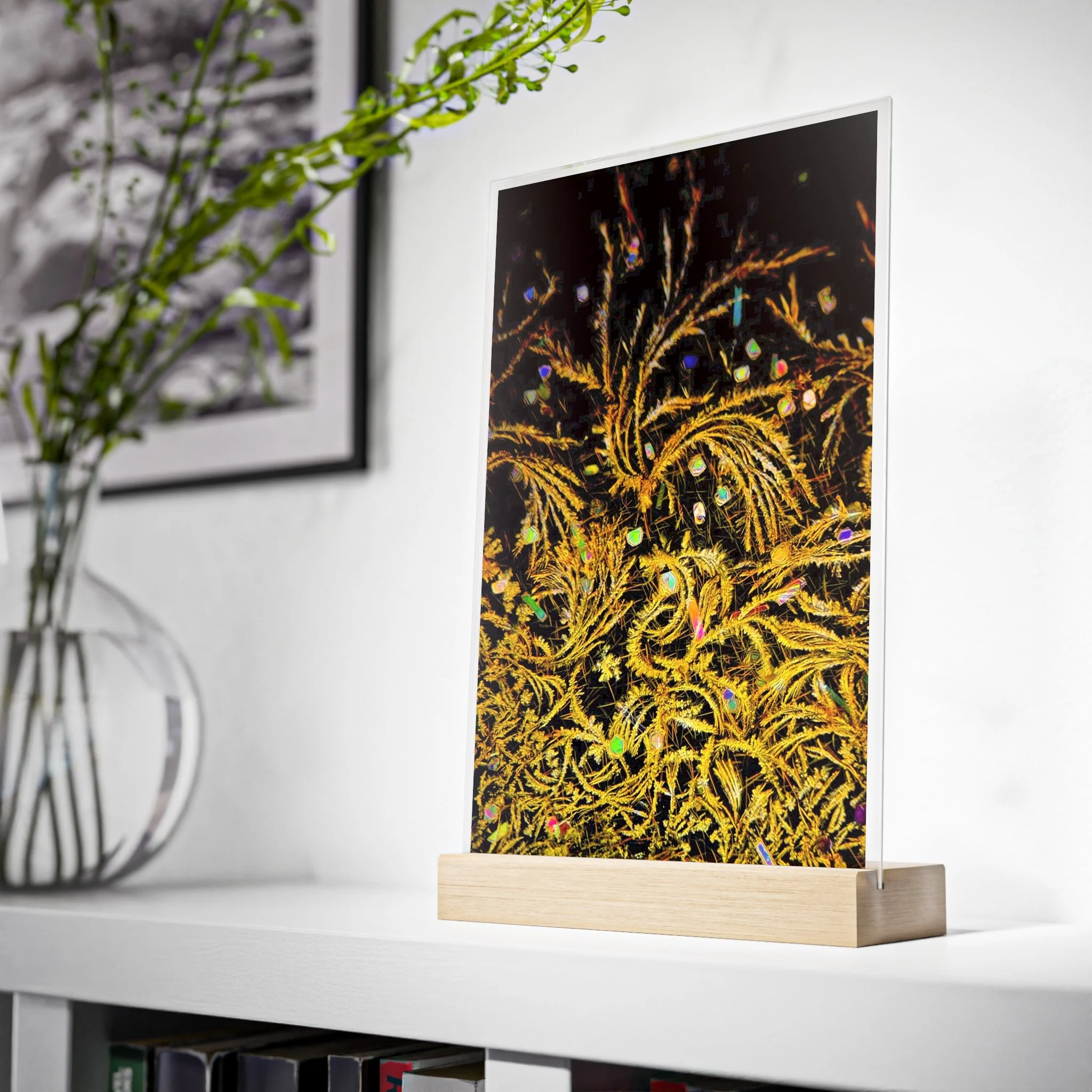 Panneau en acrylique avec socle en bois : Complexe de Vitamine B (B50)